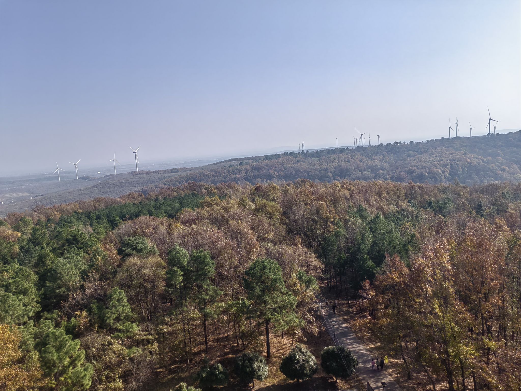 六合竹镇森林公园旅行图片 2