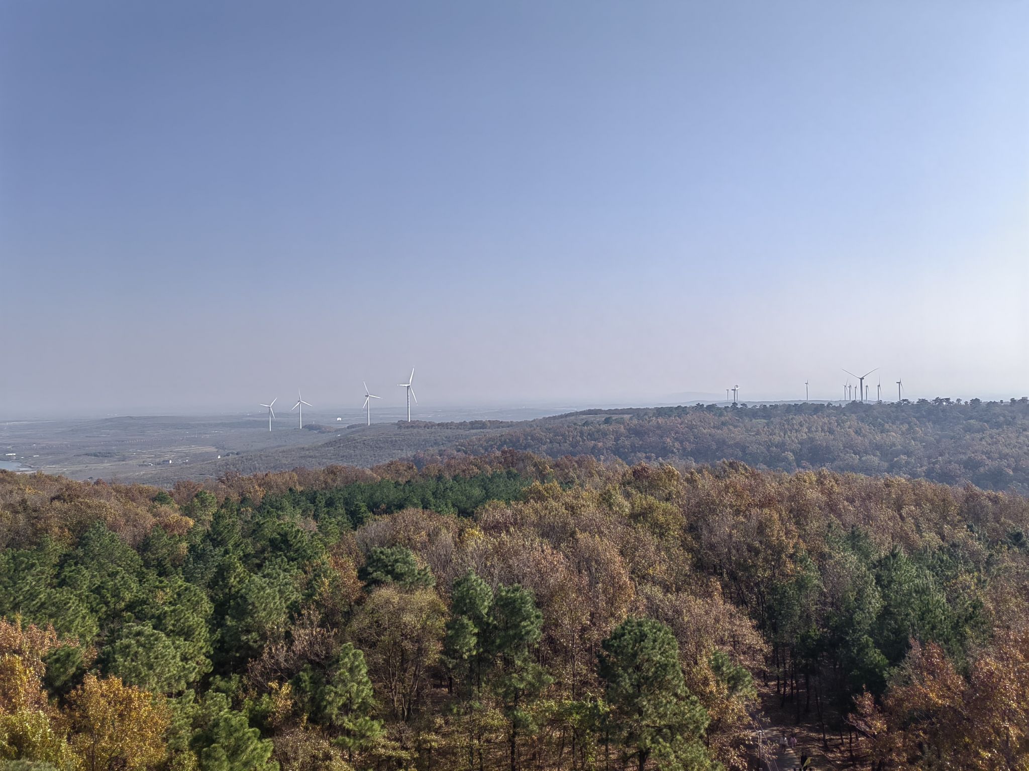 六合竹镇森林公园旅行图片 3