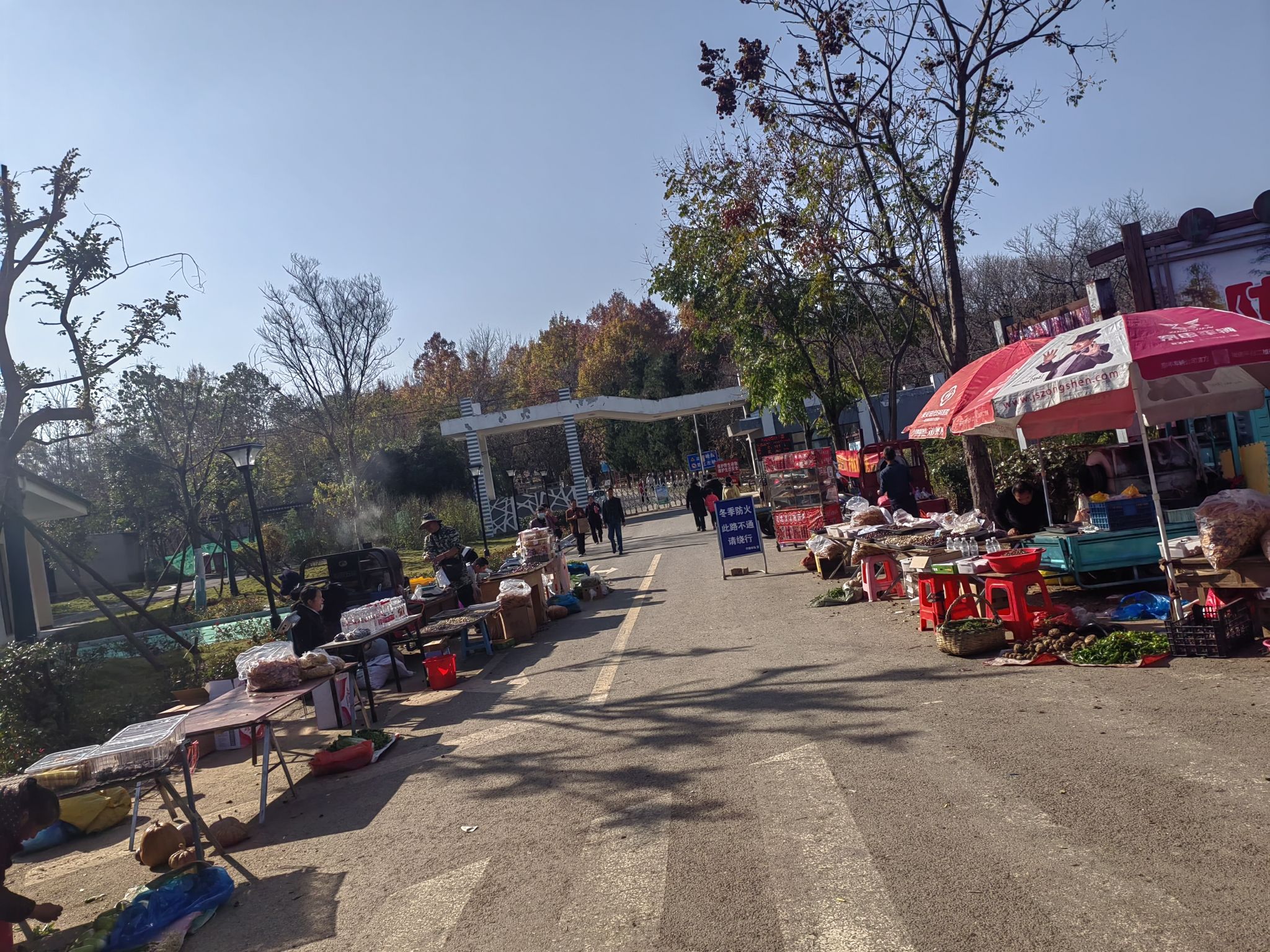 六合竹镇森林公园旅行图片 1