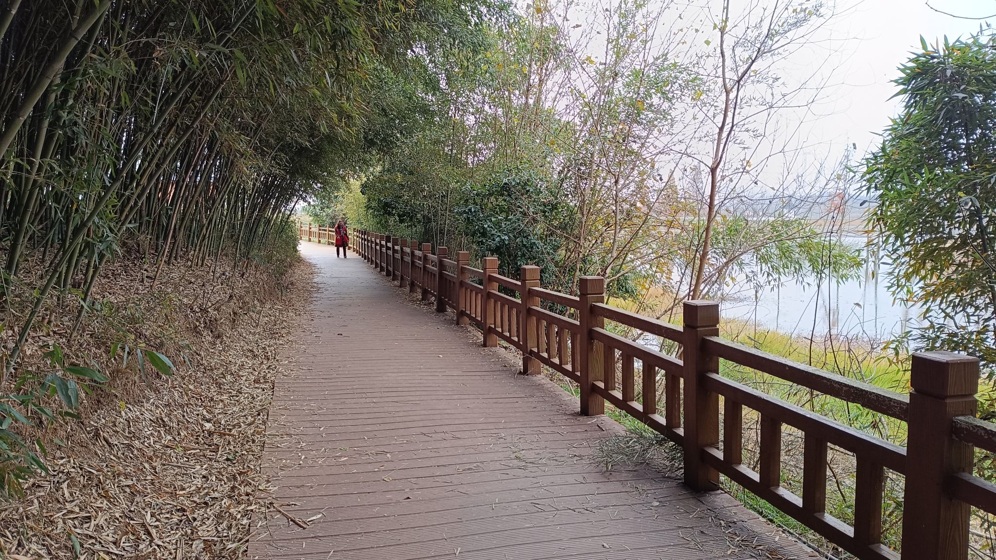 六合竹镇森林公园旅行图片 1