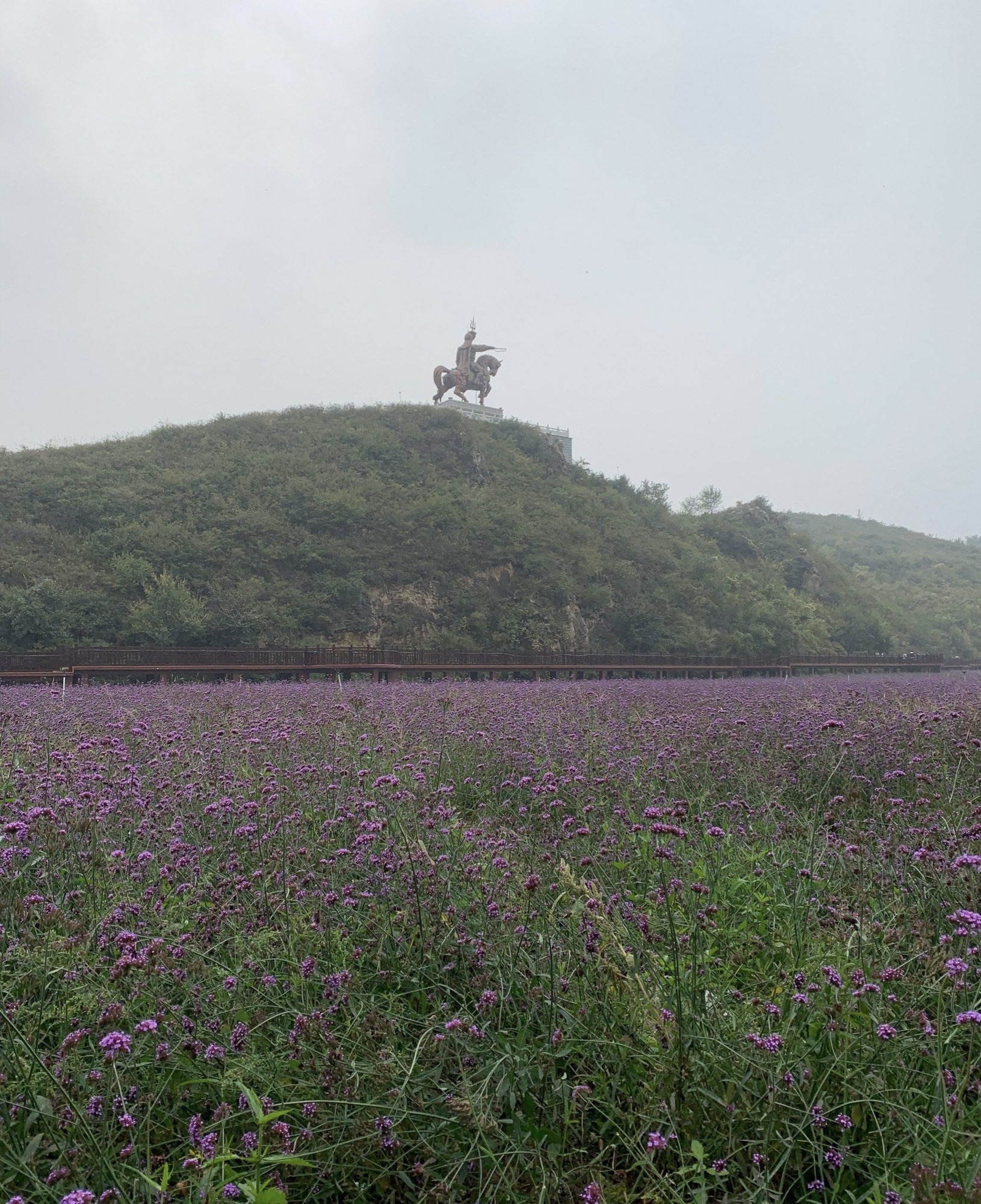 敖木仑湿地旅行图片 1