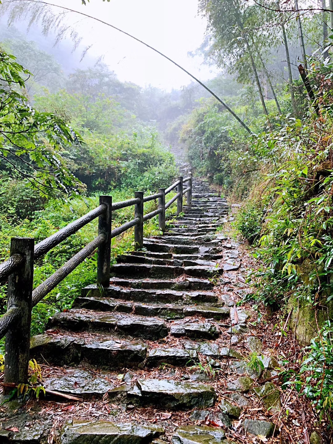 千年古村金冠村(冠佩)旅行图片 1