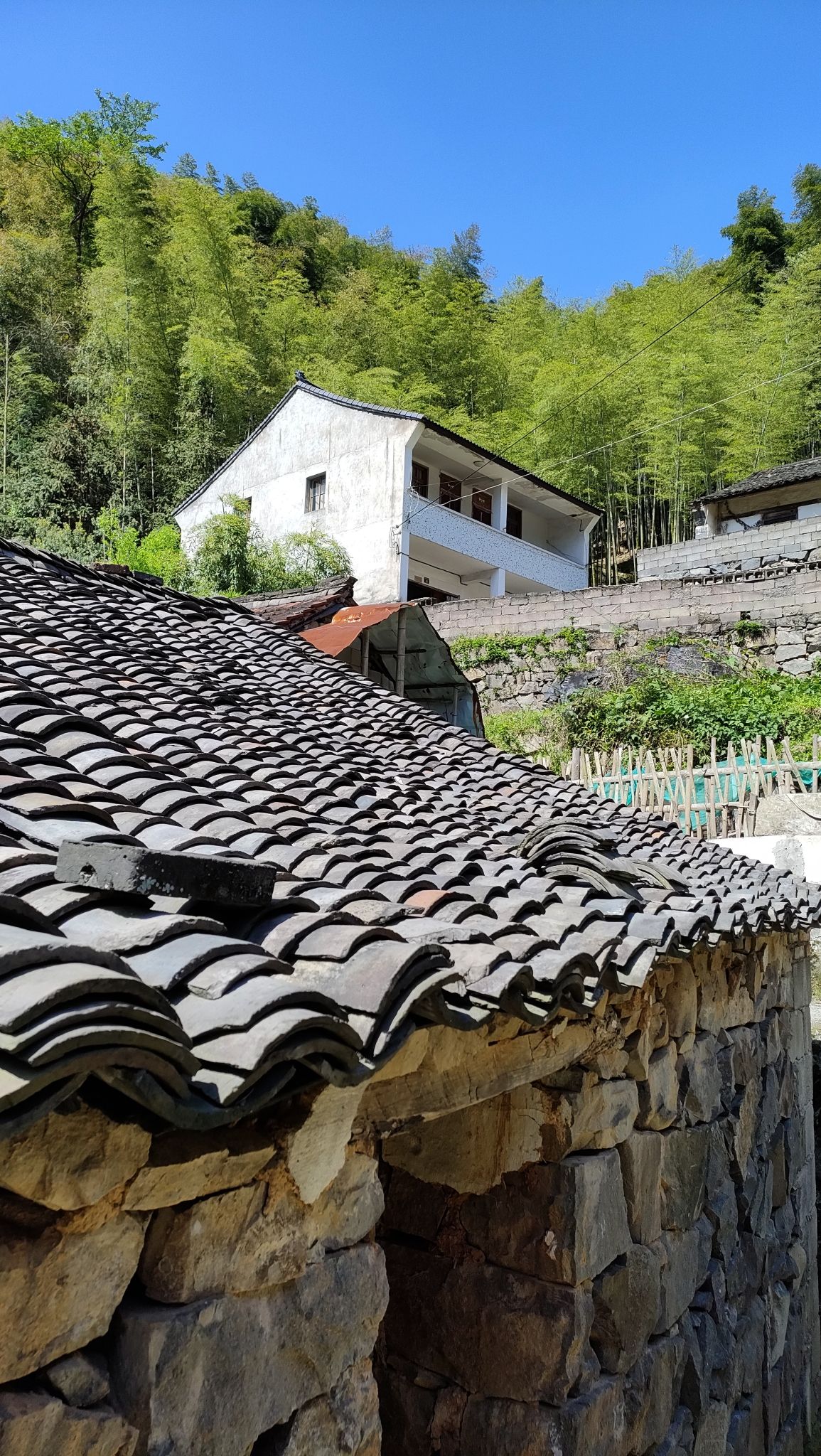 千年古村金冠村(冠佩)旅行图片 1