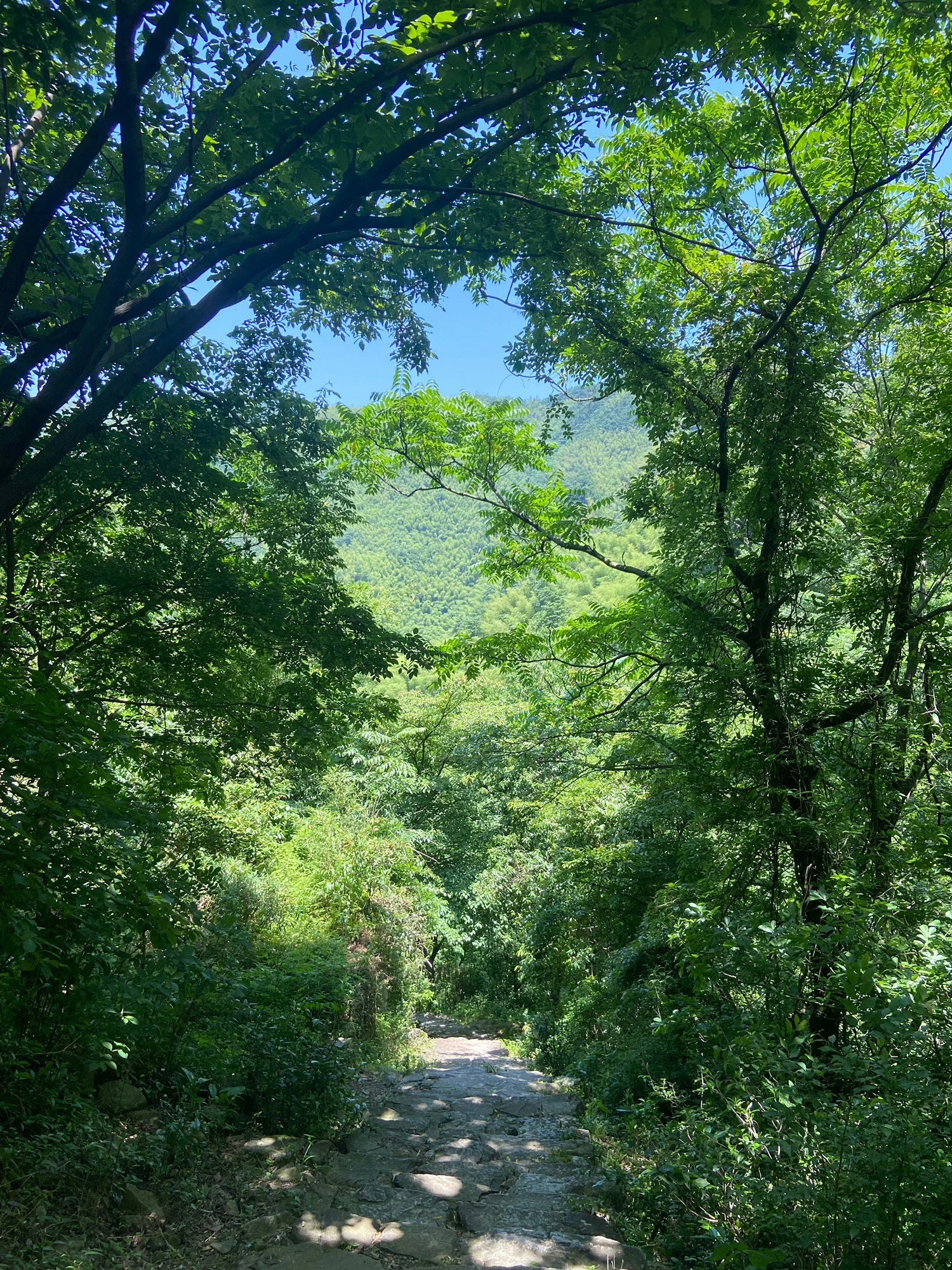 千年古村金冠村(冠佩)旅行图片 2