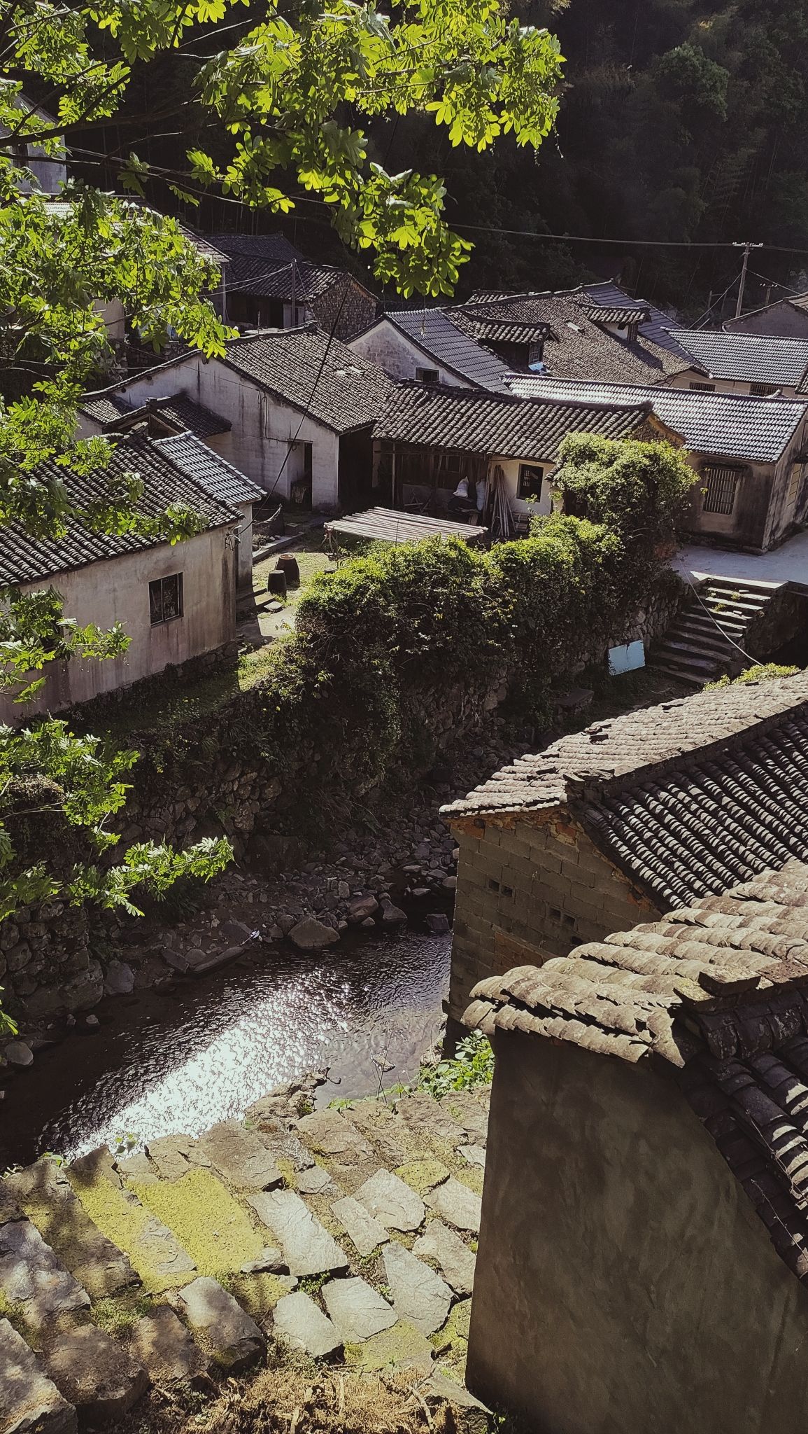 千年古村金冠村(冠佩)旅行图片 2
