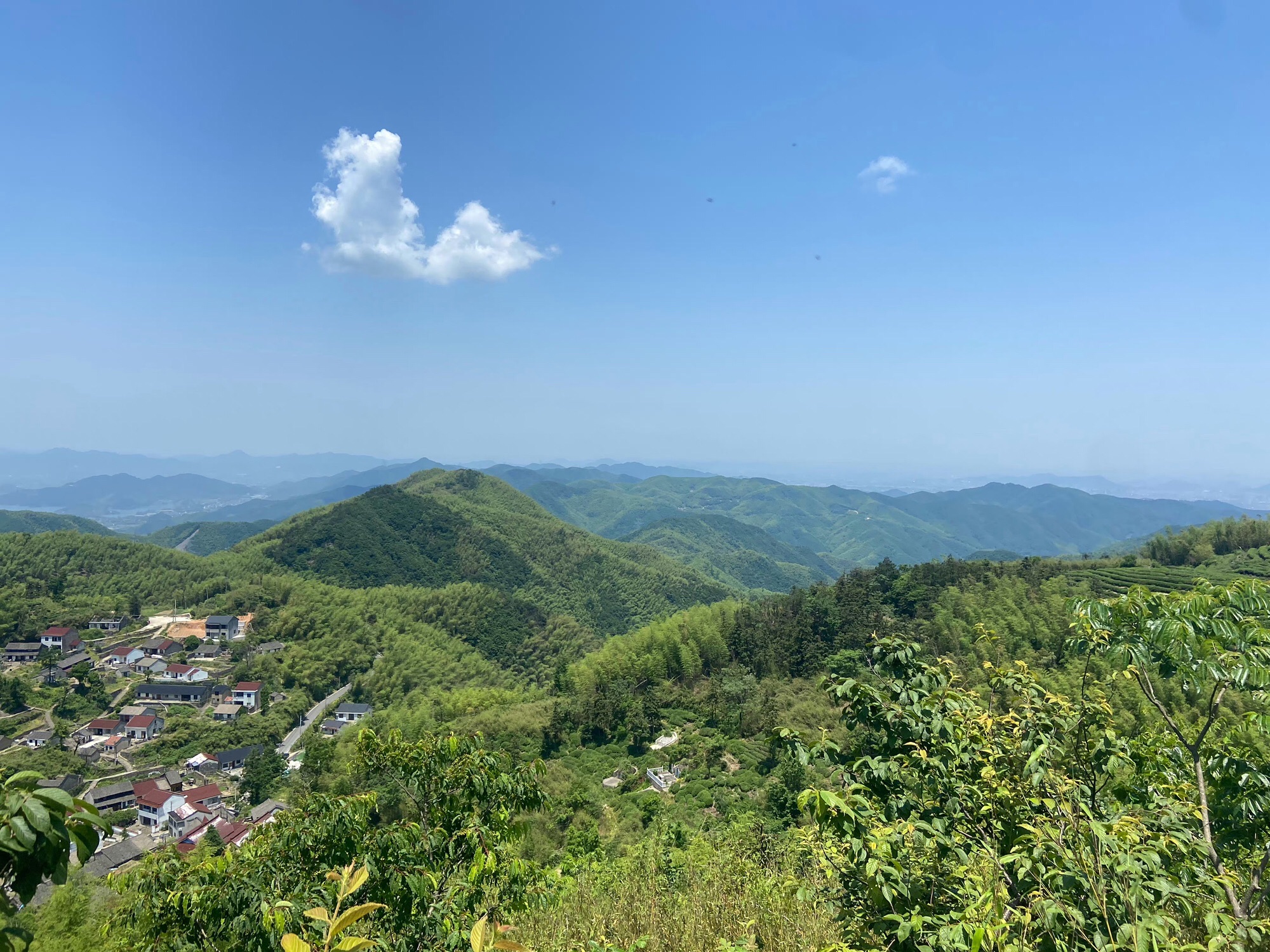 千年古村金冠村(冠佩)旅行图片 3