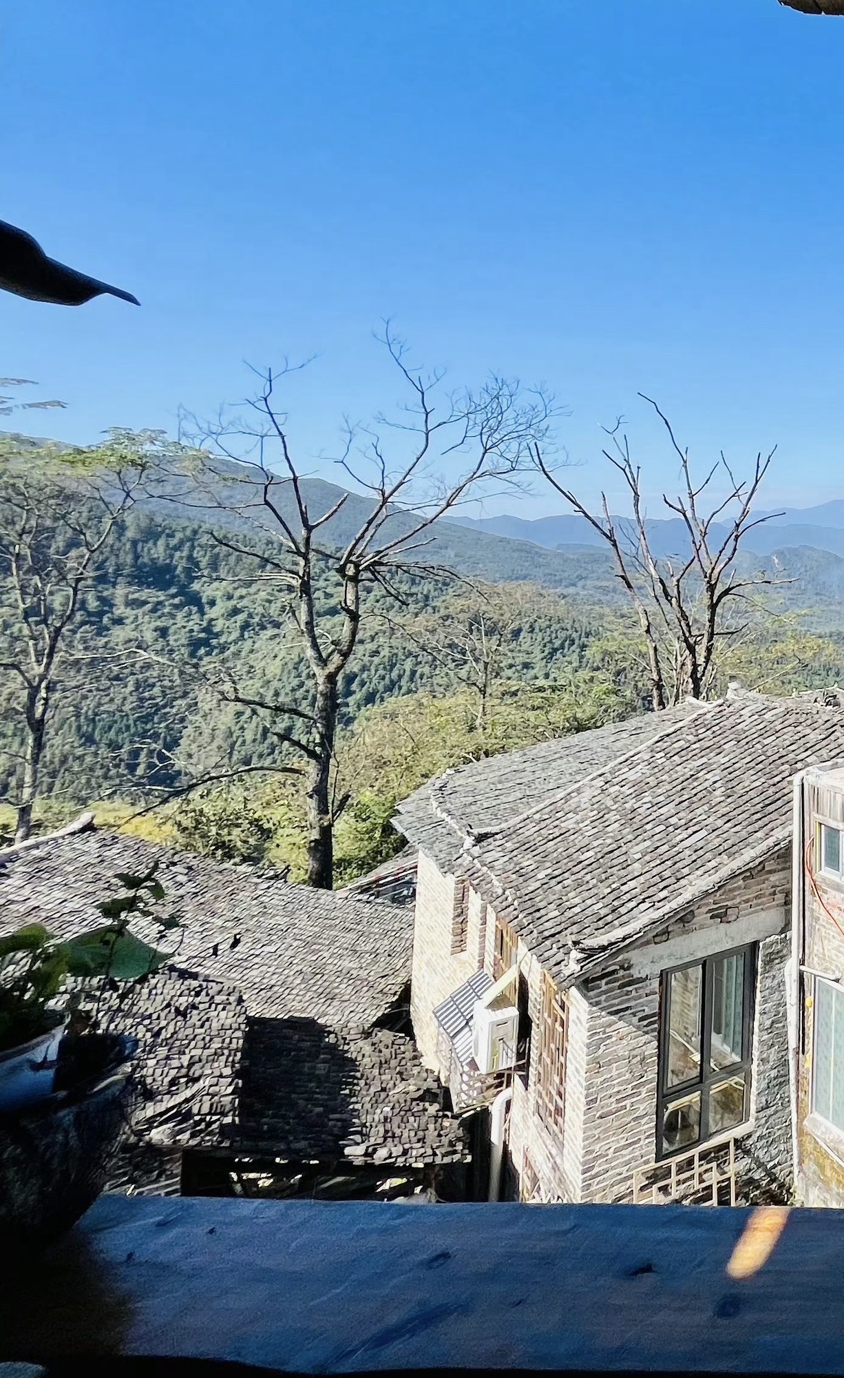 连山欧家梯田旅行图片 1