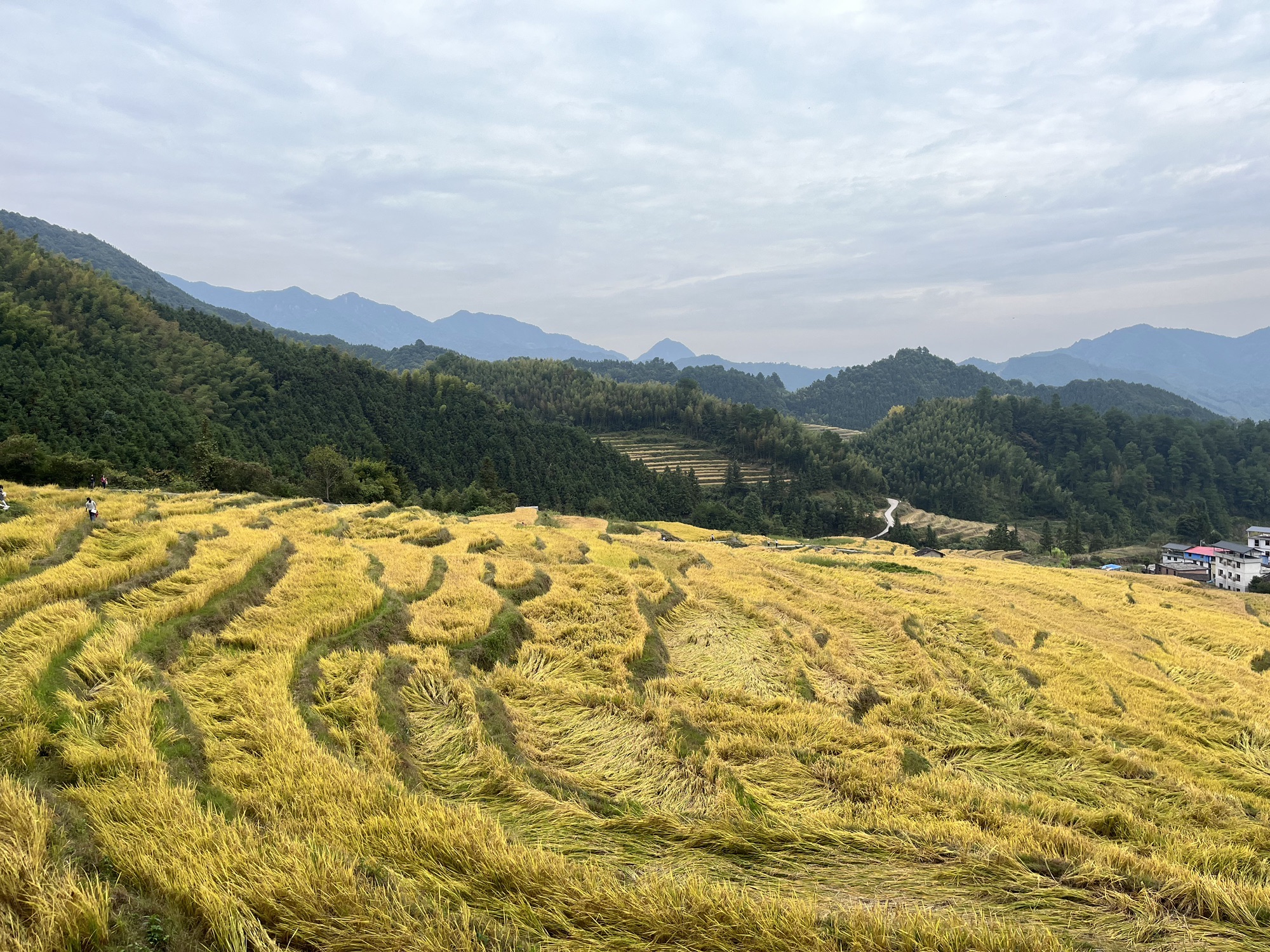 连山欧家梯田旅行图片 1