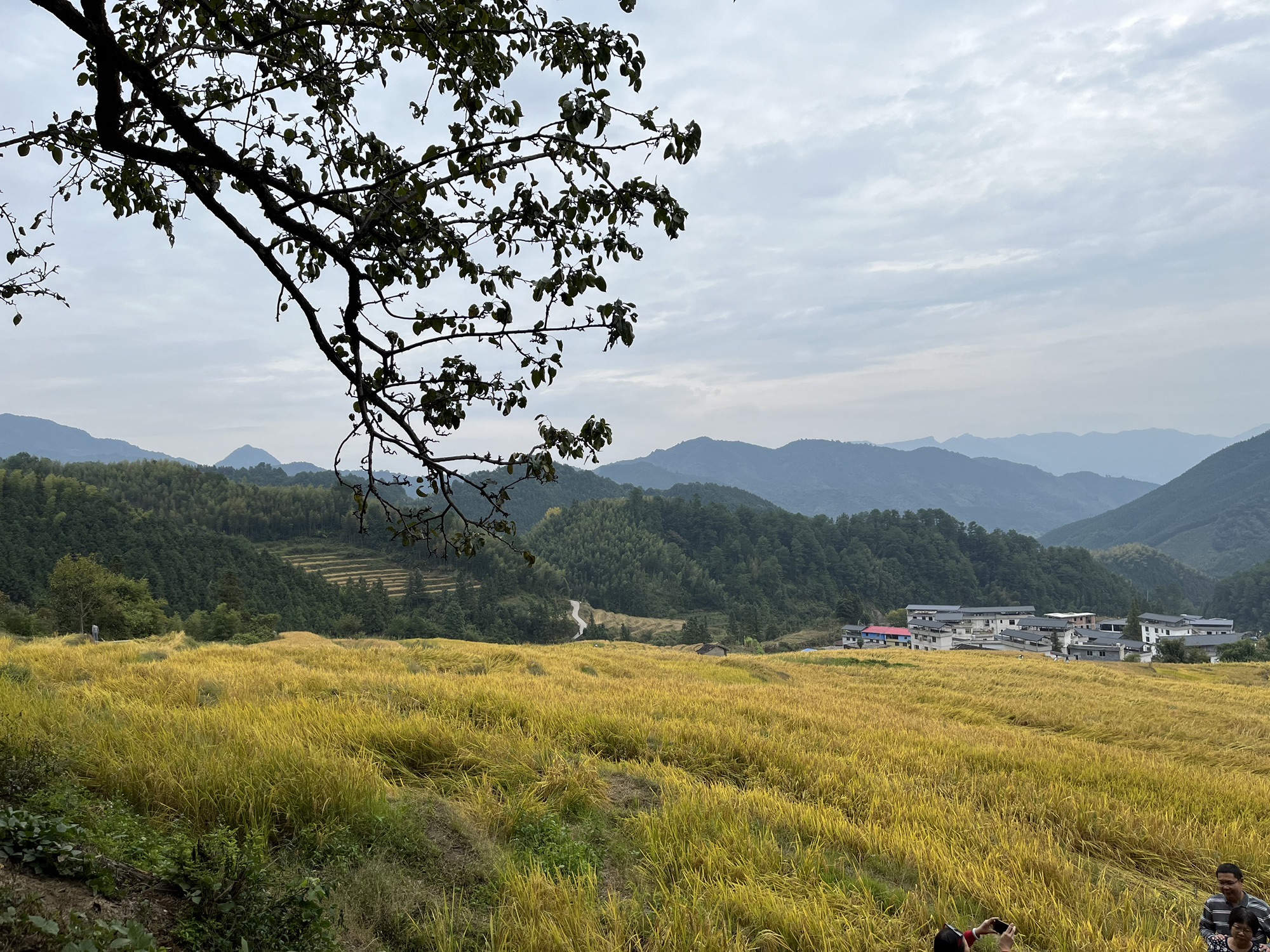 连山欧家梯田旅行图片 2