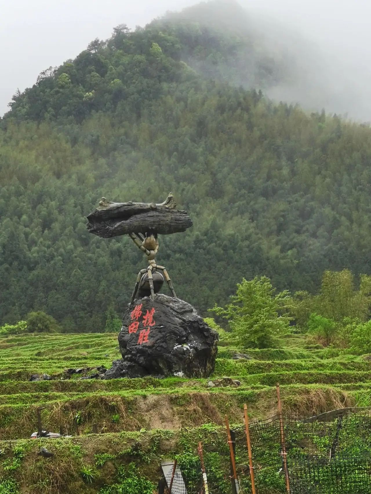 连山欧家梯田旅行图片 2