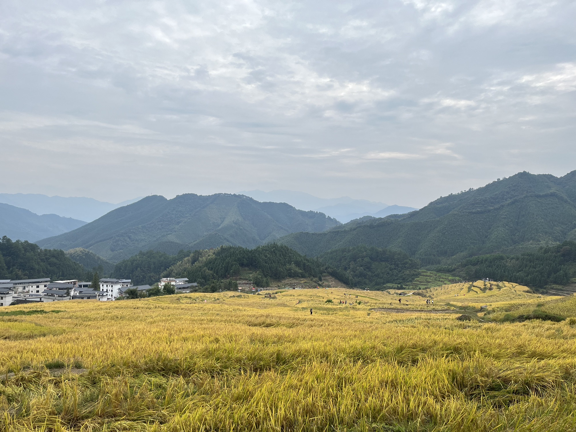连山欧家梯田旅行图片 3