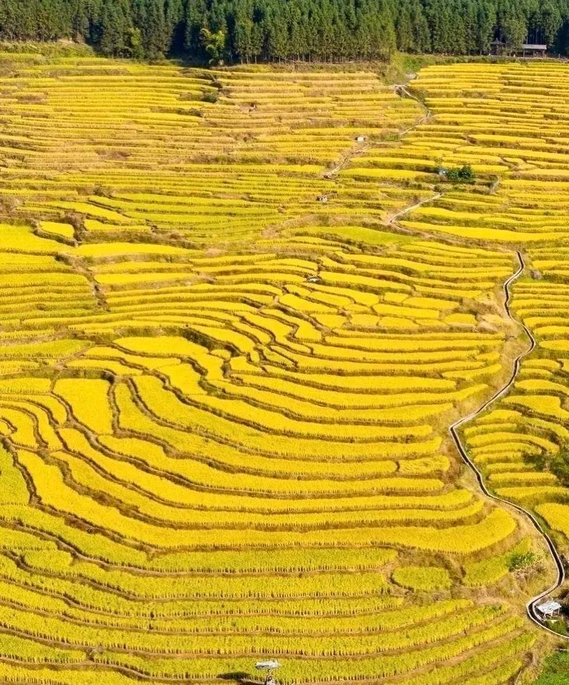 连山欧家梯田旅行图片 1