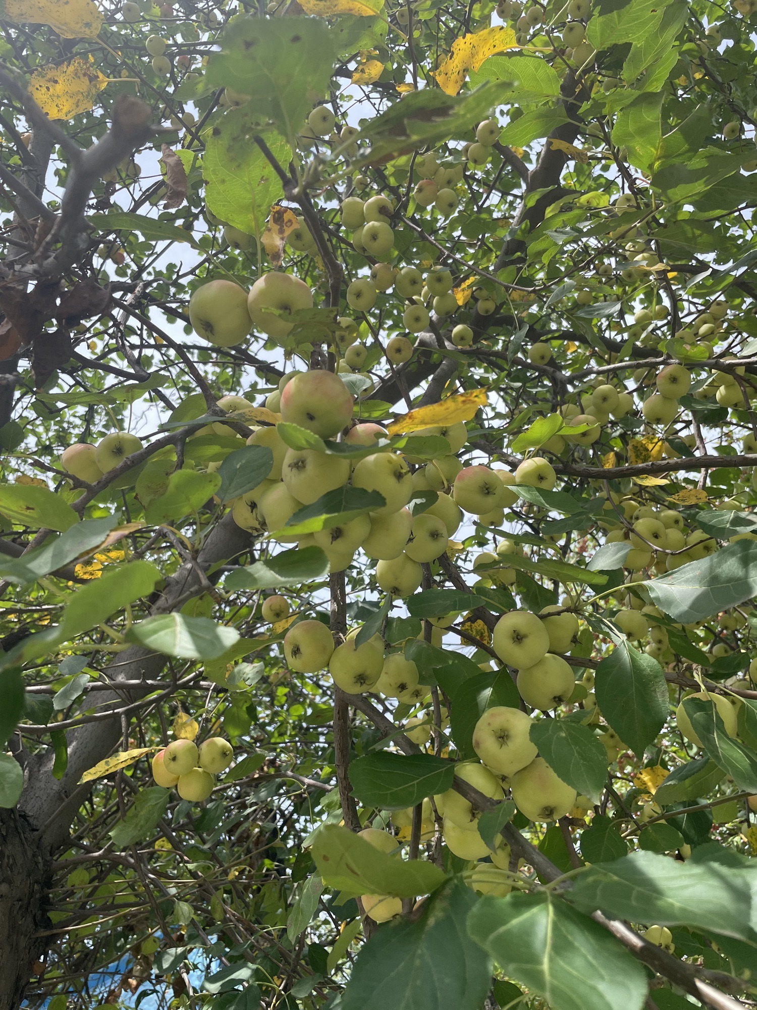 天恒山知青公园旅行图片 2