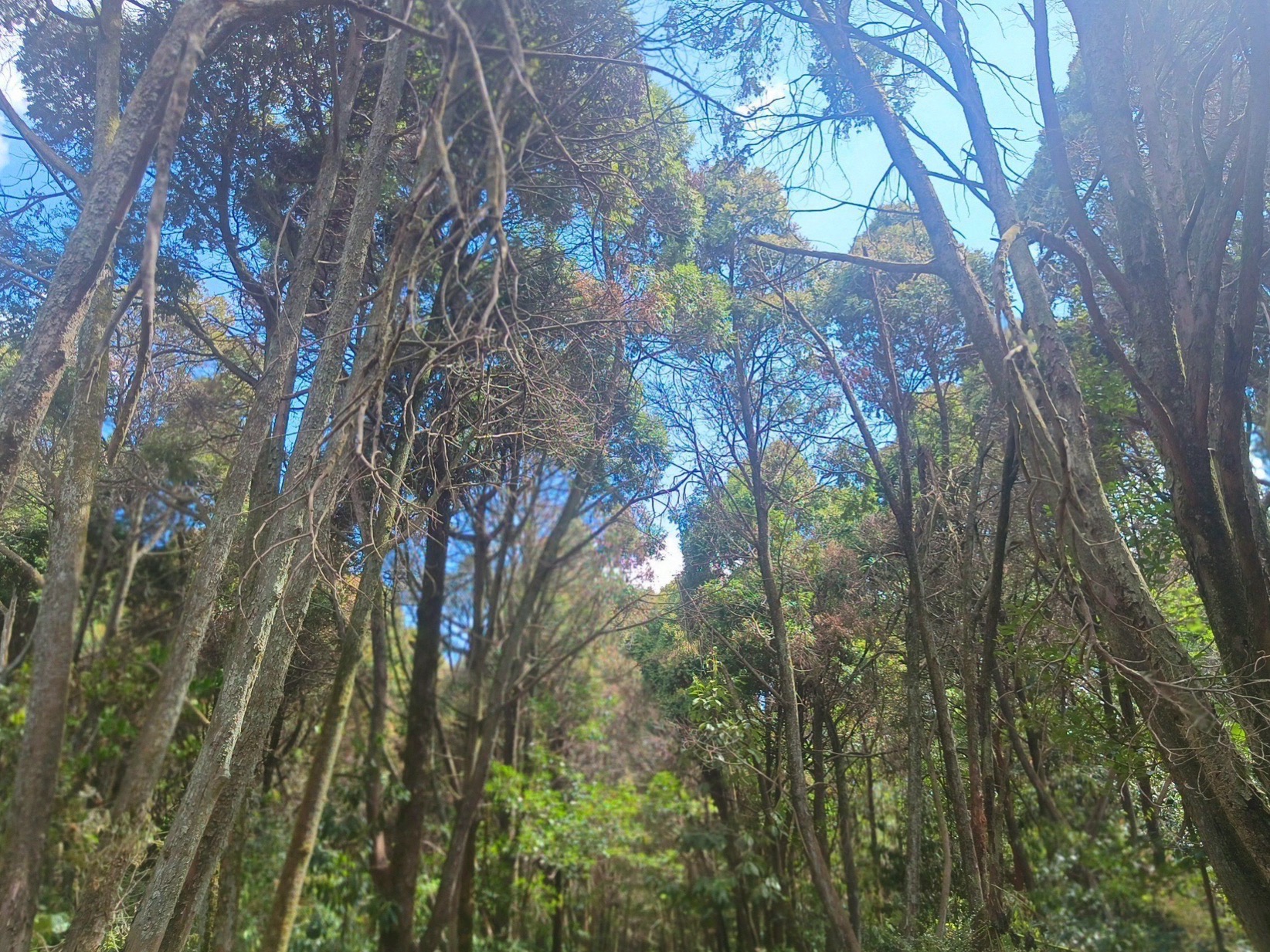 永州森林植物园旅行图片 1