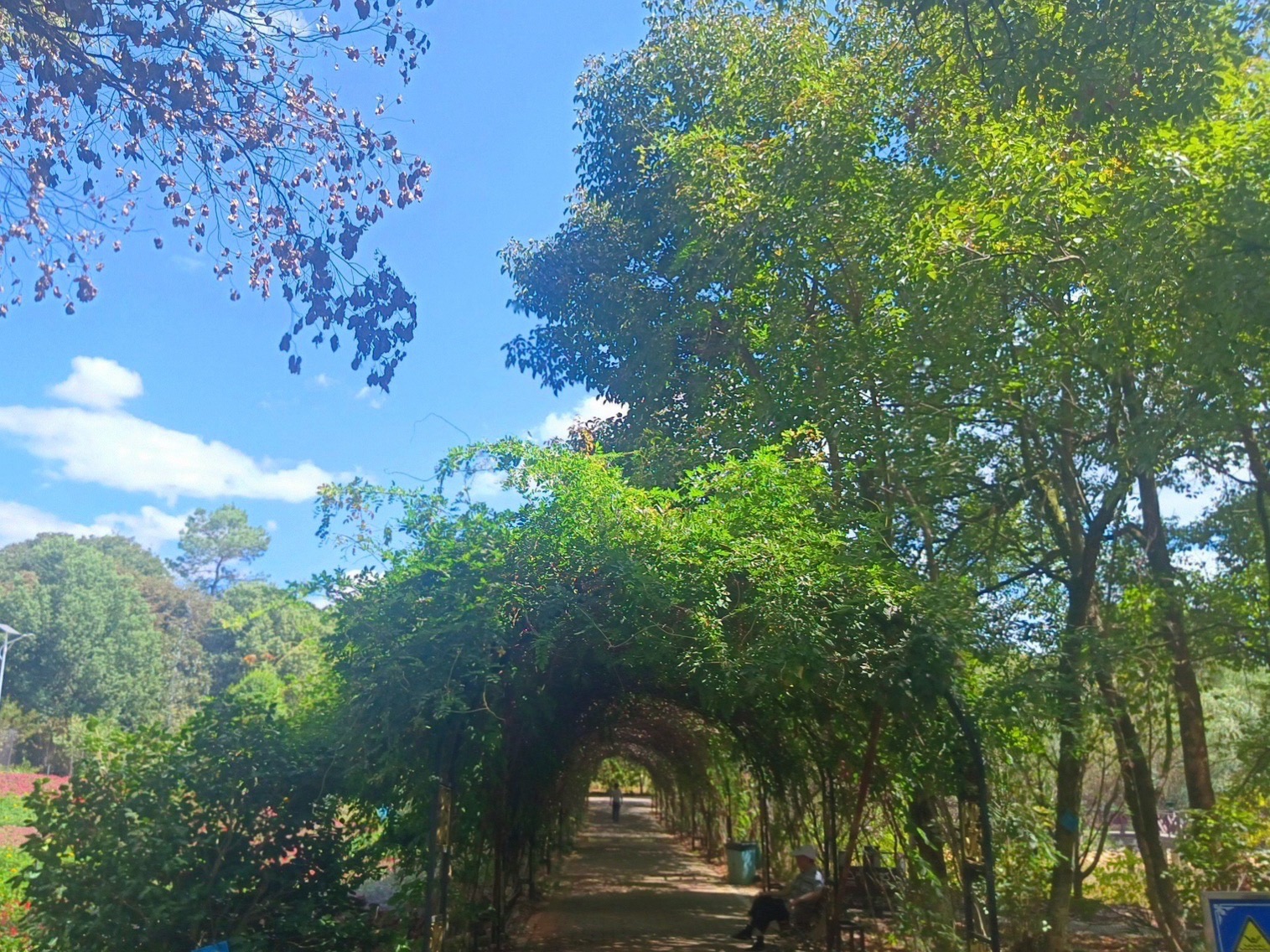永州森林植物园旅行图片 3