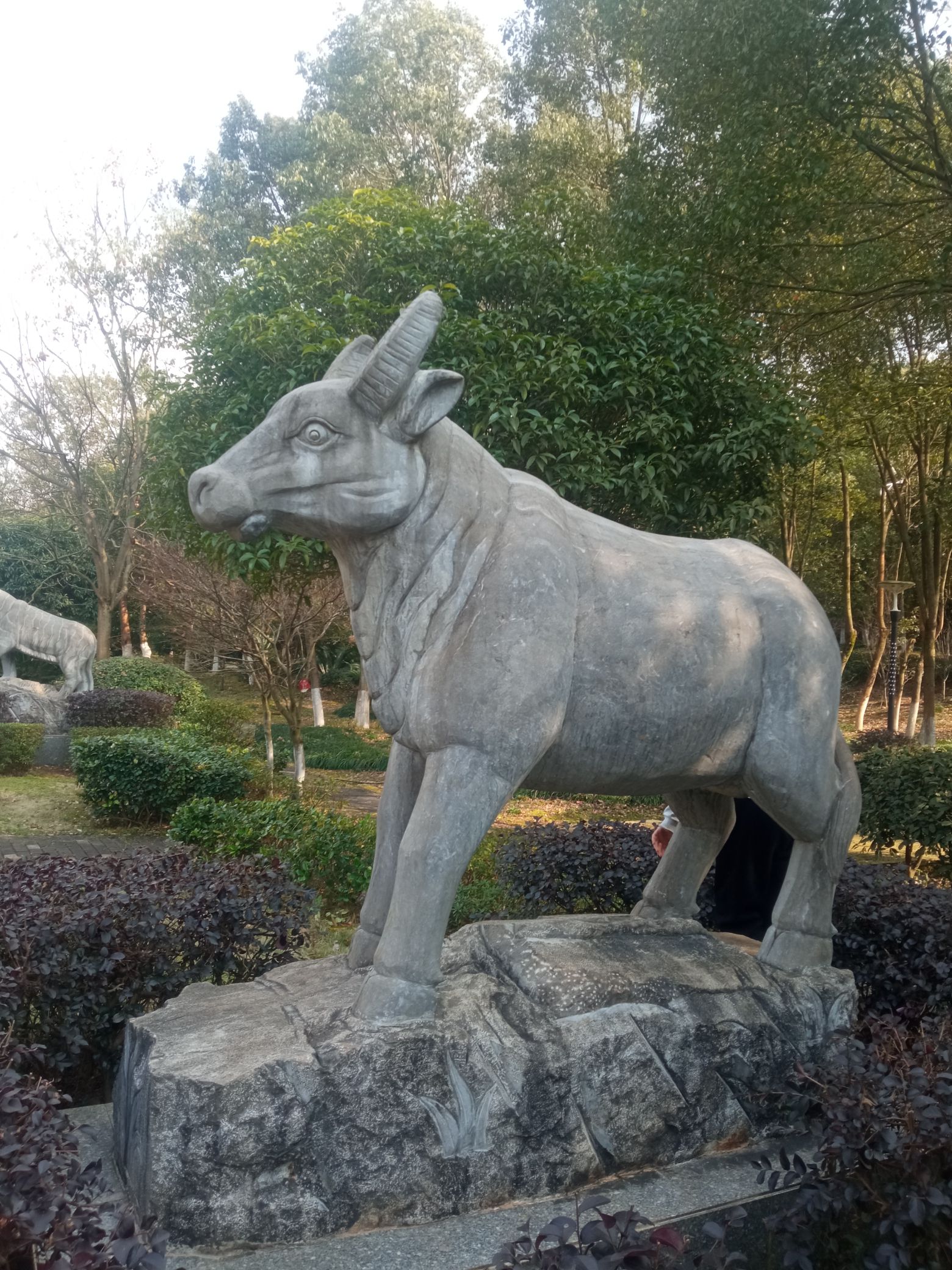 永州森林植物园旅行图片 3