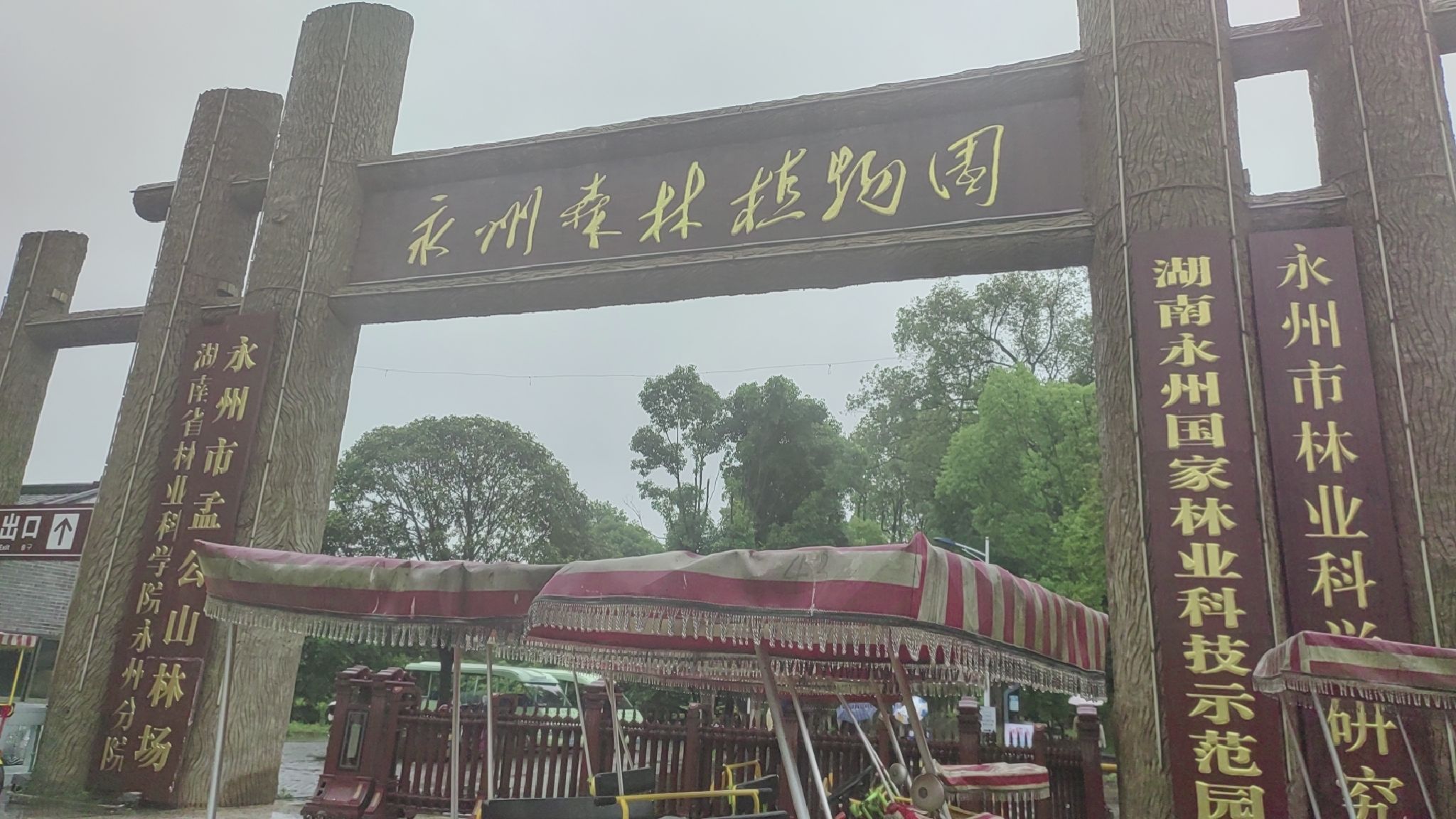 永州森林植物园旅行图片 1