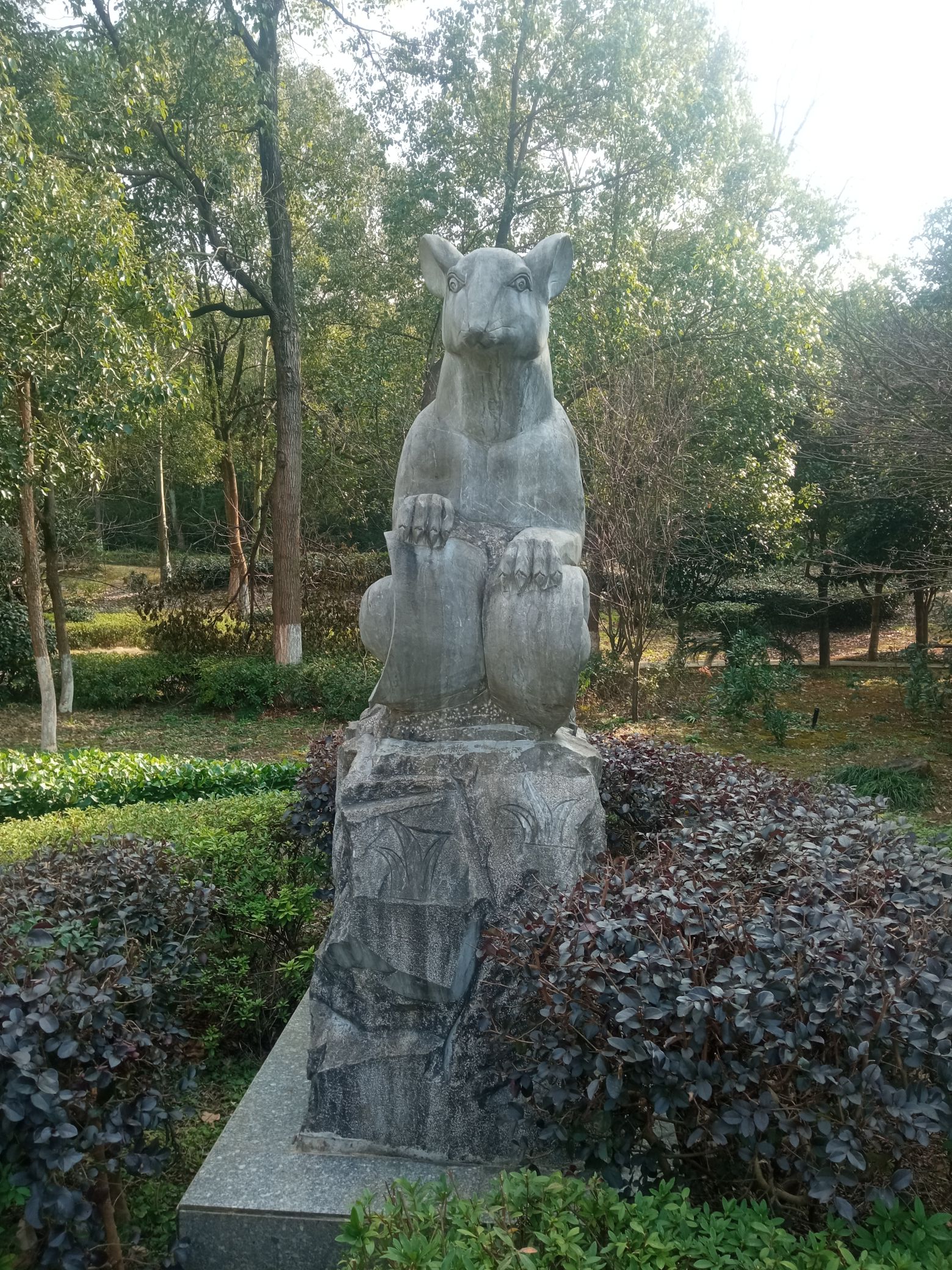 永州森林植物园旅行图片 1