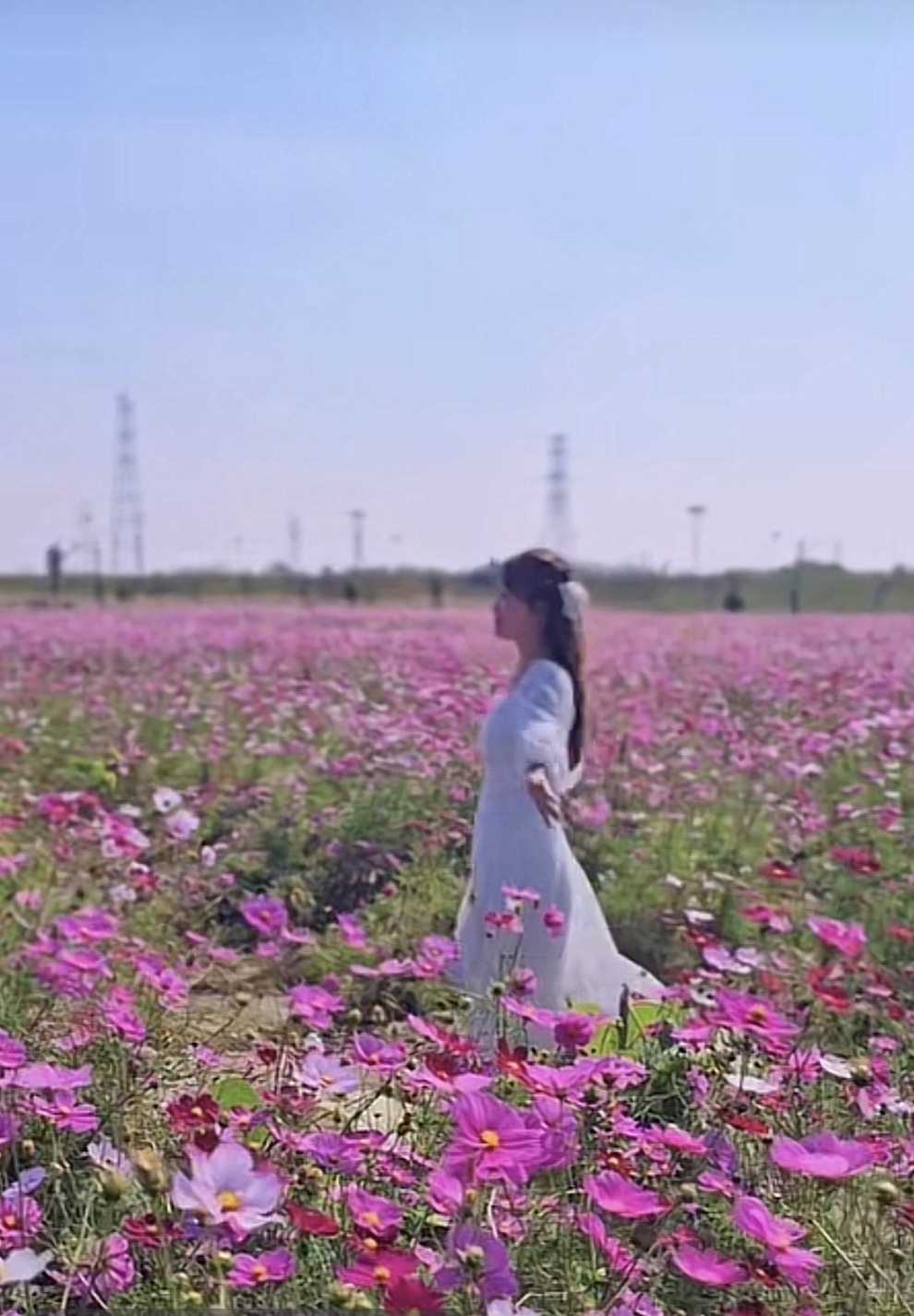 钱仓向日葵花海旅行图片 3
