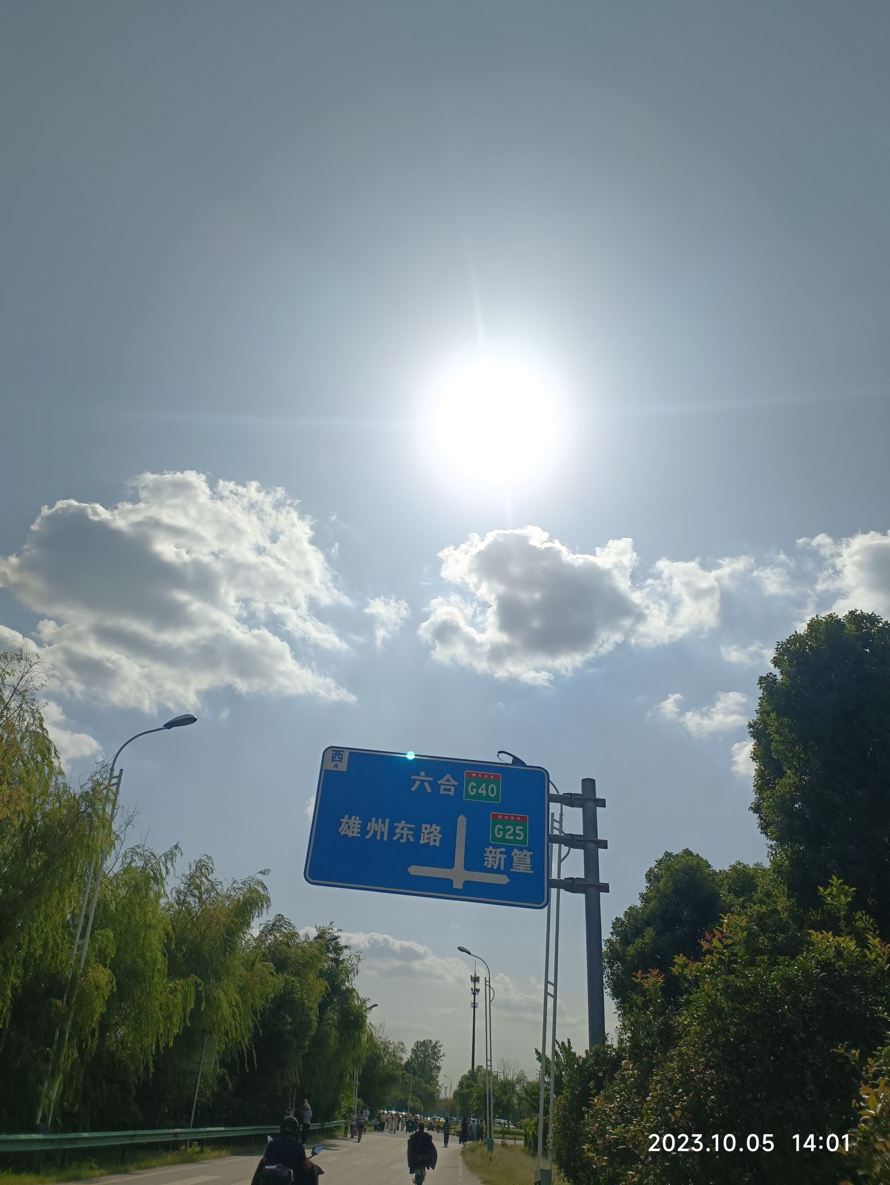 钱仓向日葵花海旅行图片 2