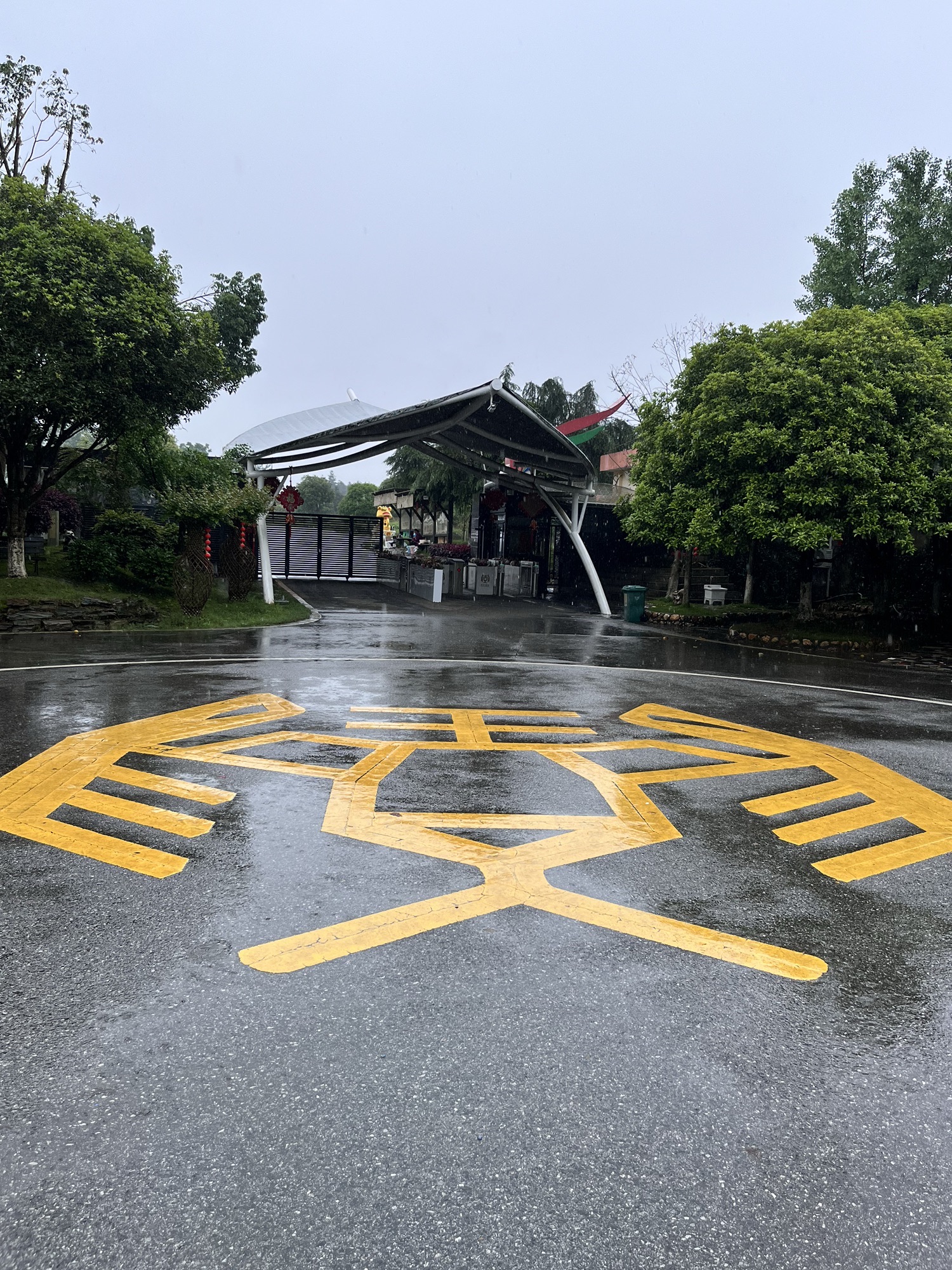 三珍虎园旅行图片 2