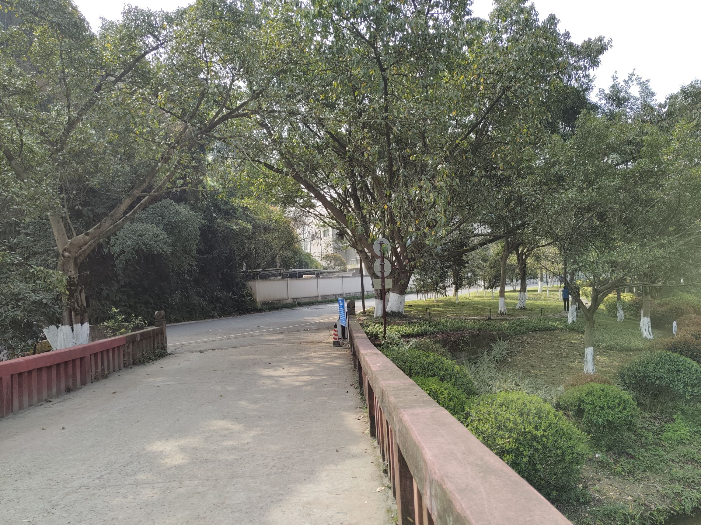 鱼咡湾公园旅行图片 3