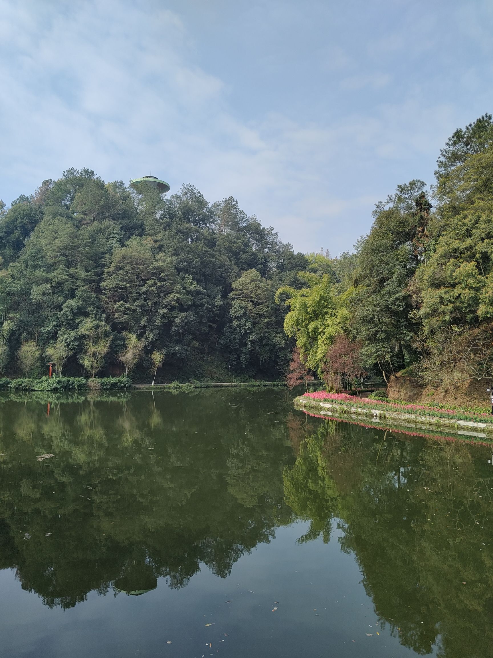鱼咡湾公园旅行图片 2