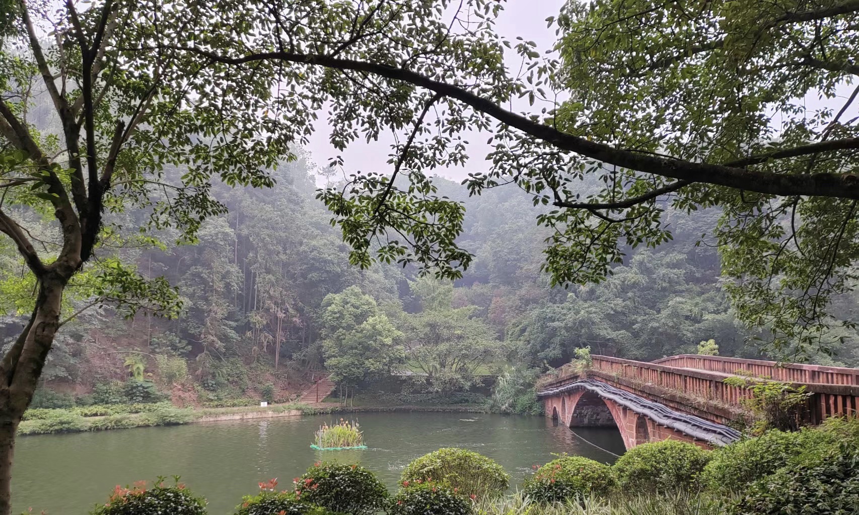 鱼咡湾公园