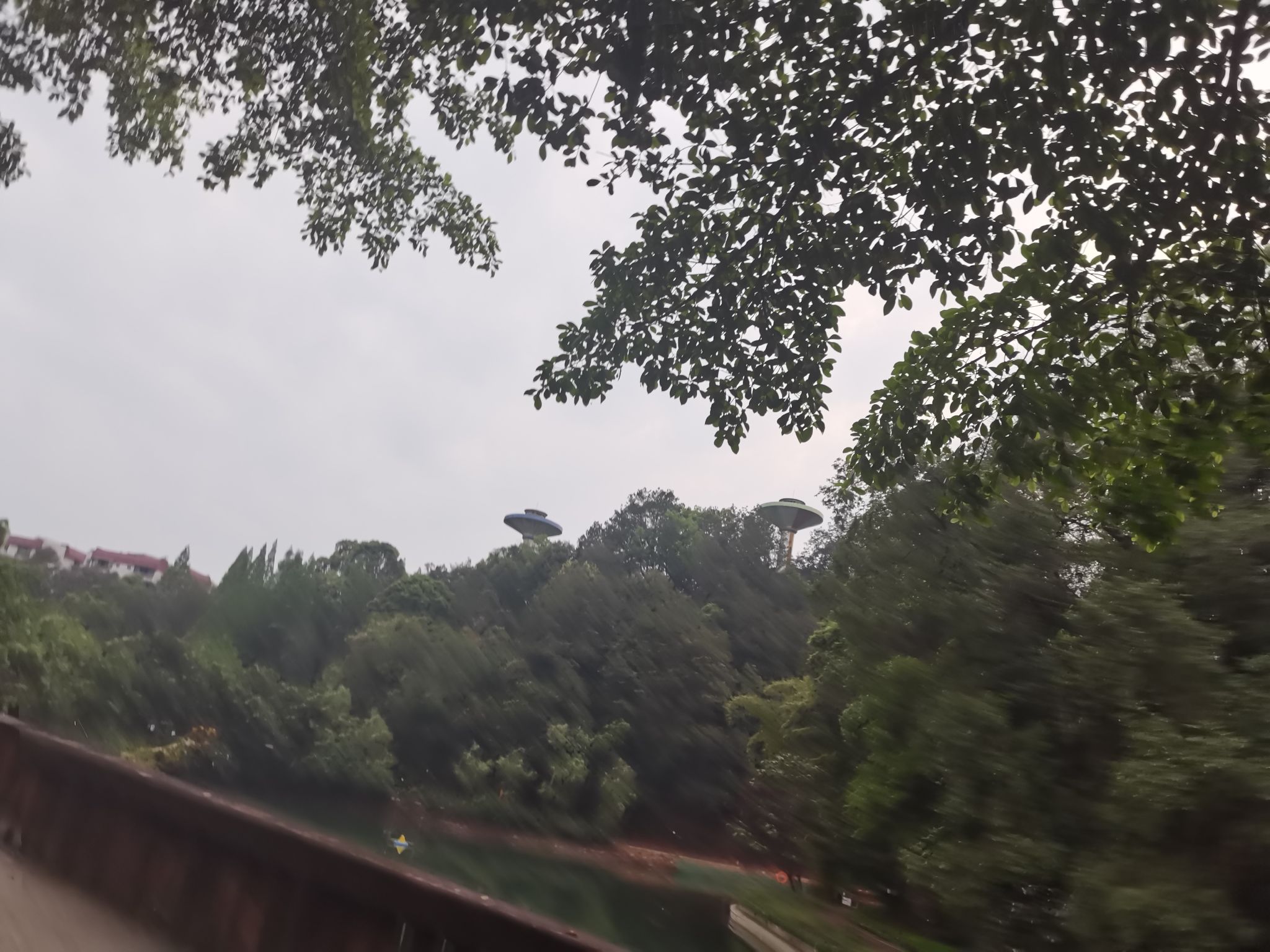 鱼咡湾公园旅行图片 3