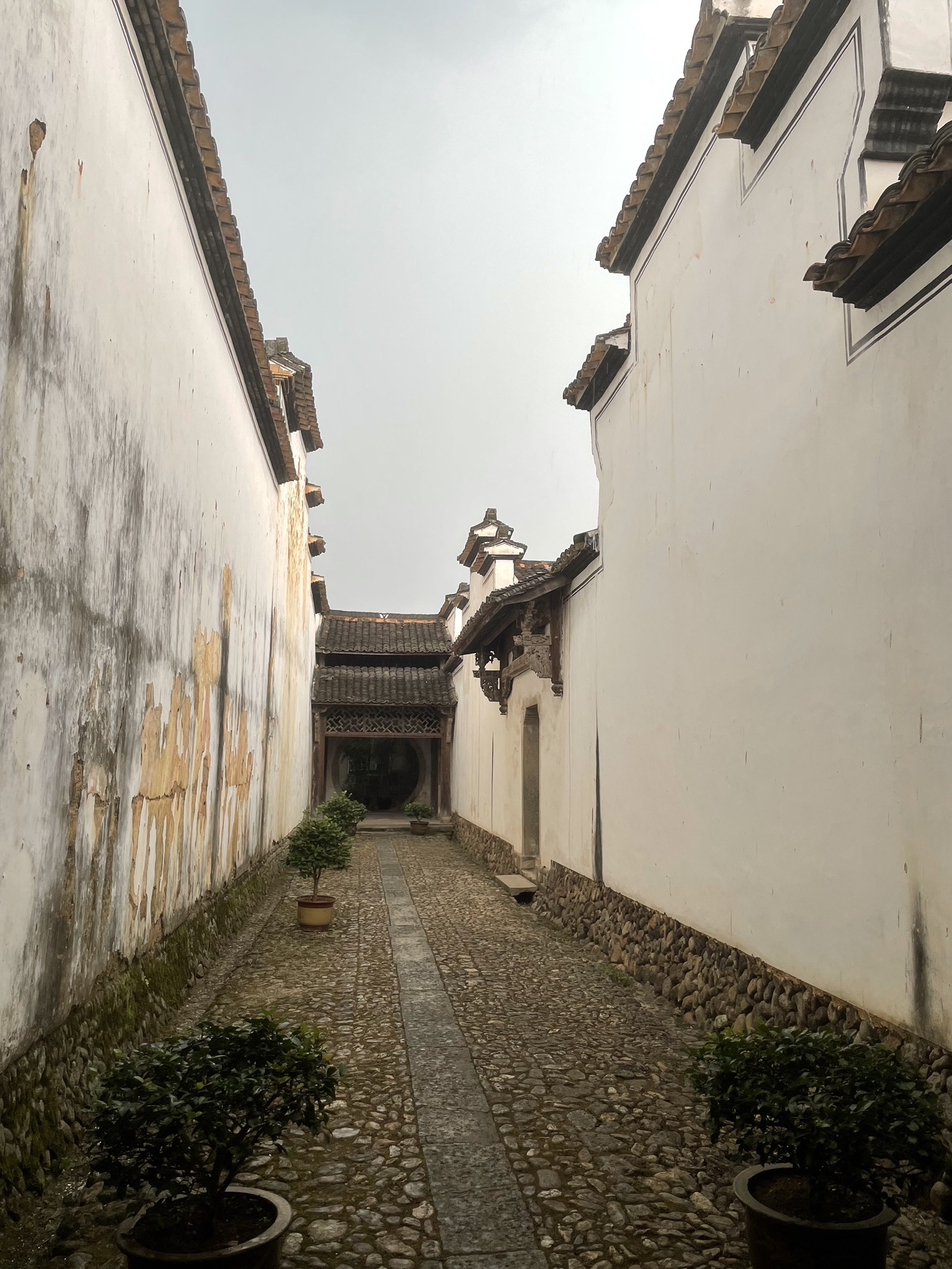 松阳黄家大院旅行图片 1