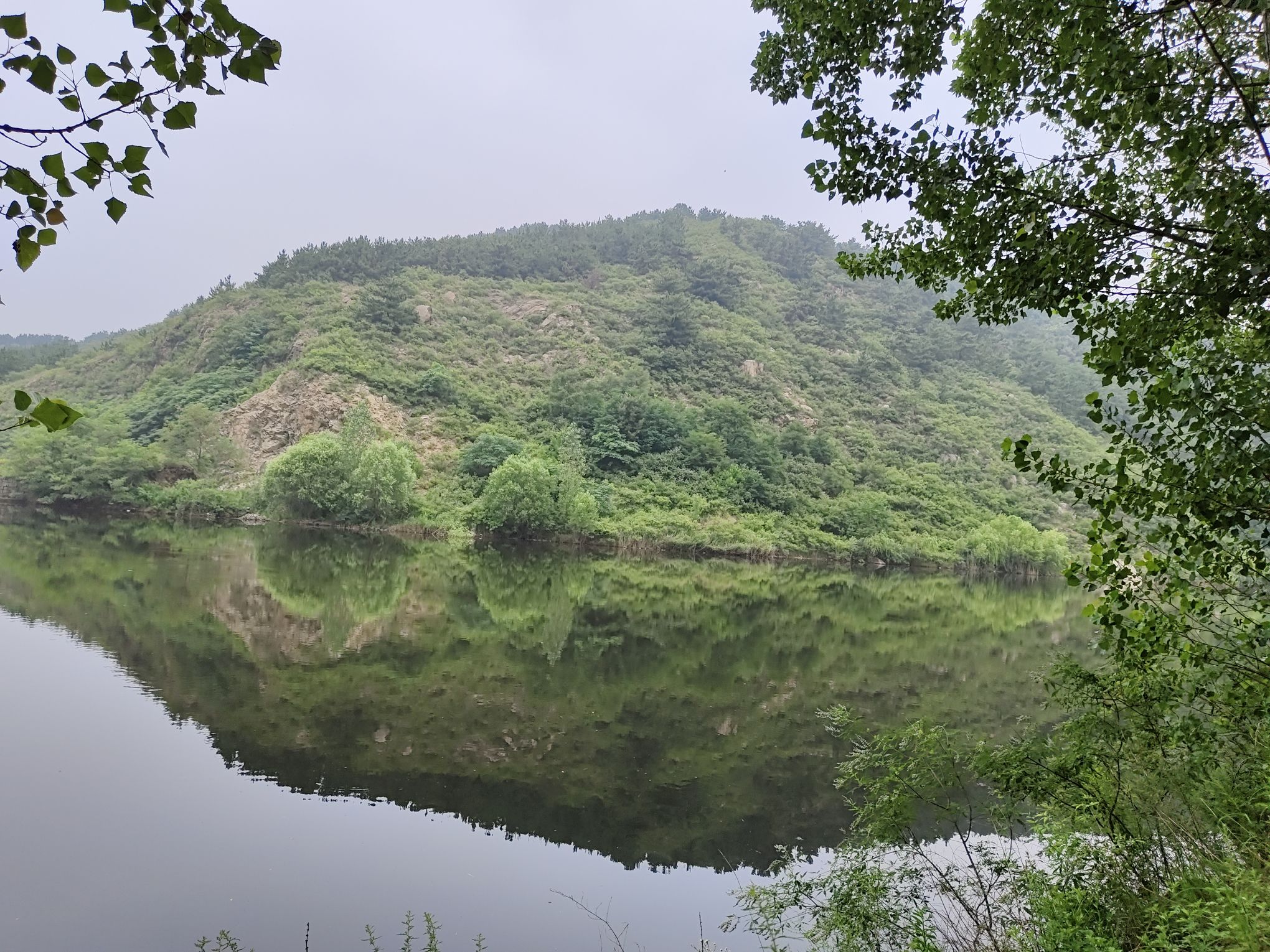 金鸡峡旅行图片 1