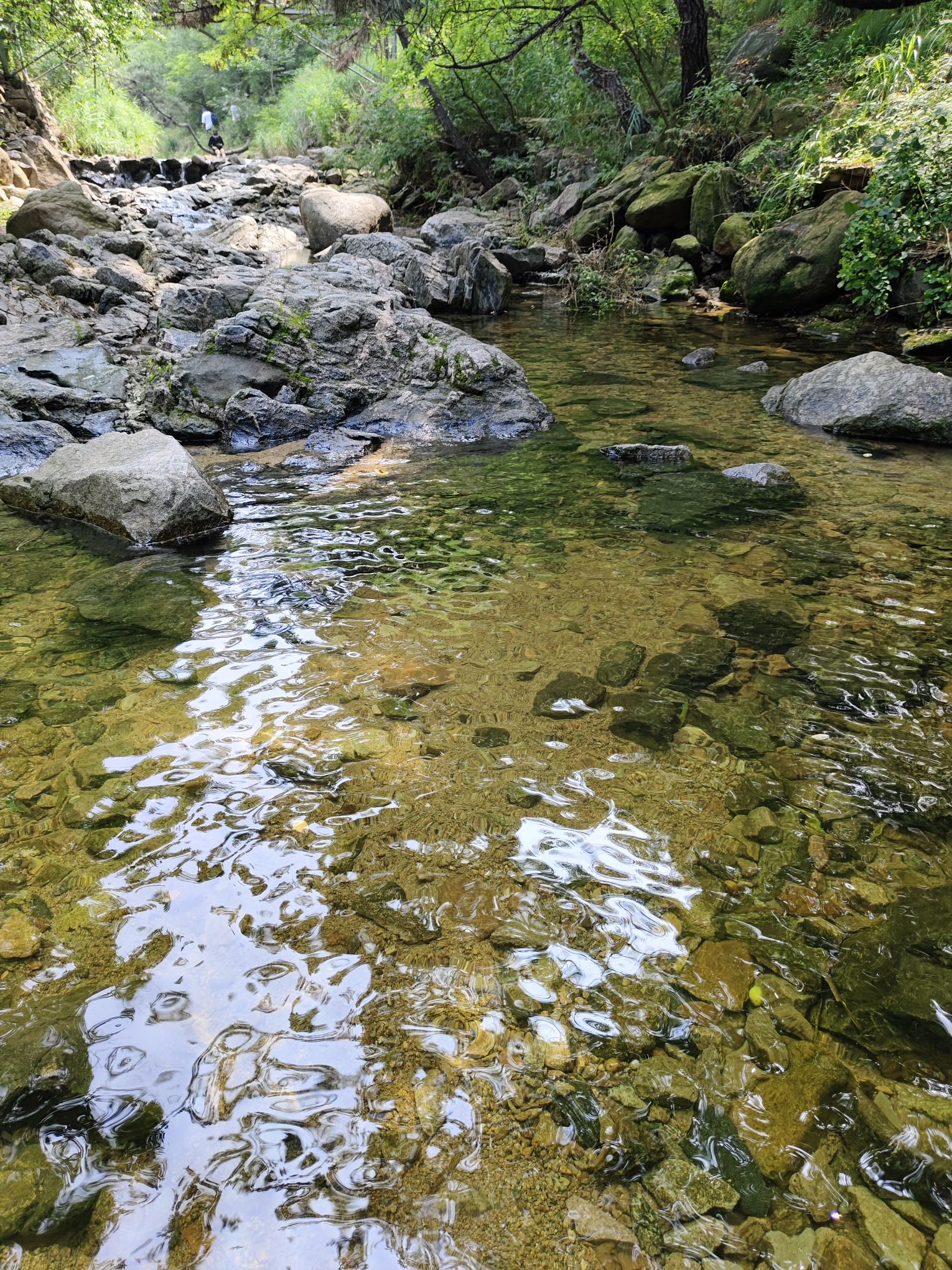 金鸡峡旅行图片 2