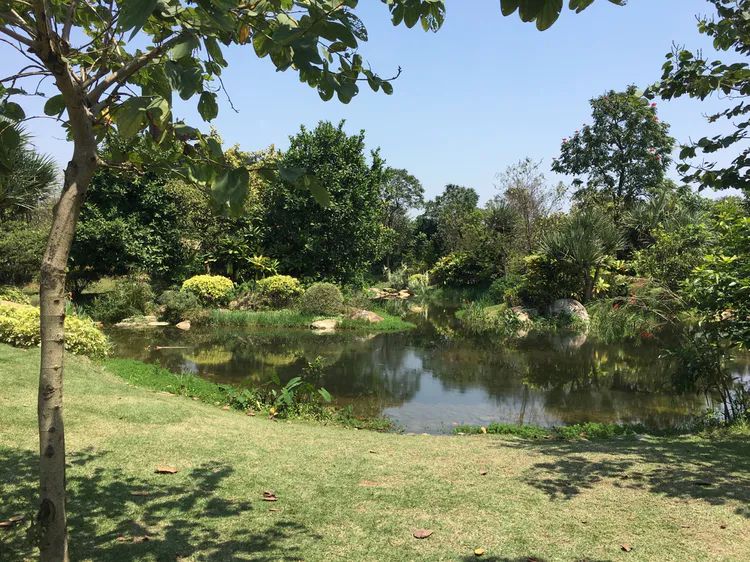 汤河国家湿地公园旅行图片 3