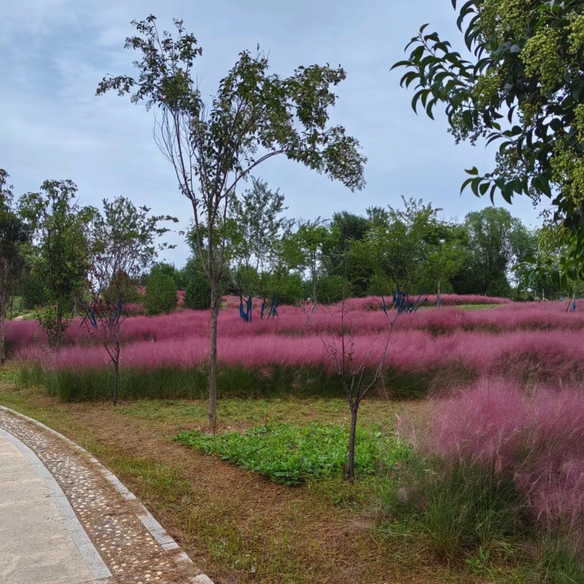 汤河国家湿地公园旅行图片 2