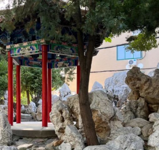 雕塑公园旅行图片 1