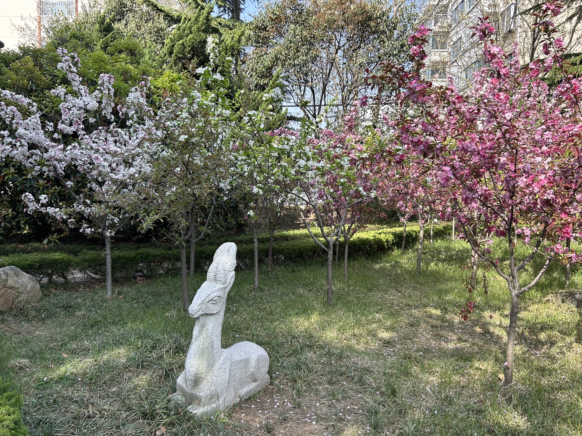 雕塑公园旅行图片 3
