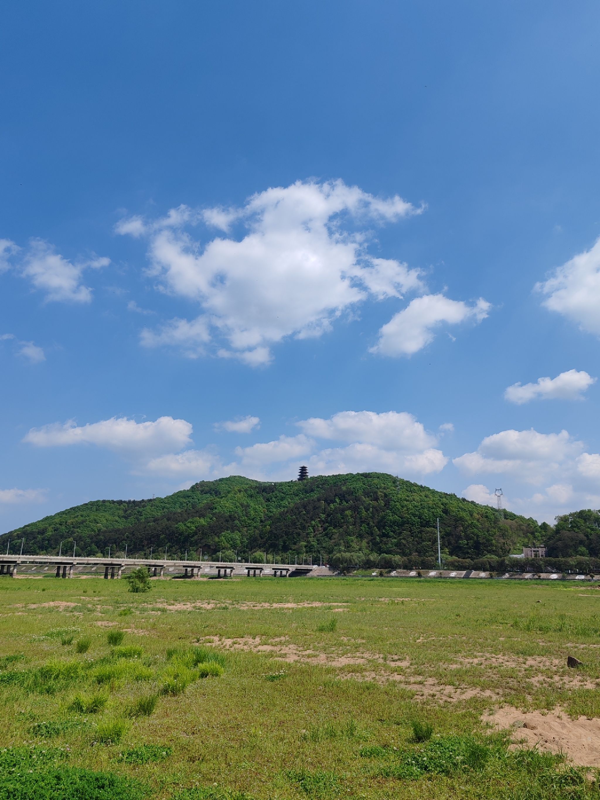 平桥公园旅行图片 1