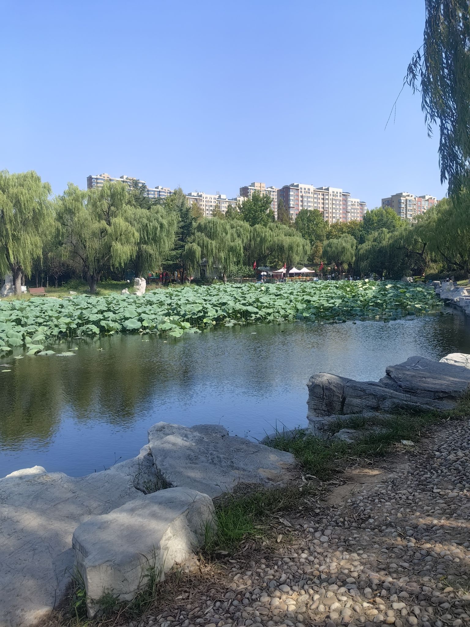 胡林古旅行图片 3