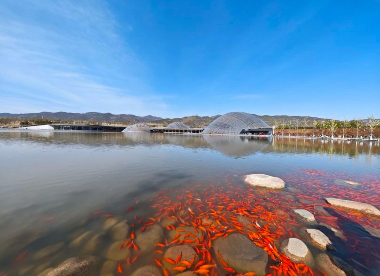 百草坡森林植物园旅行图片 3