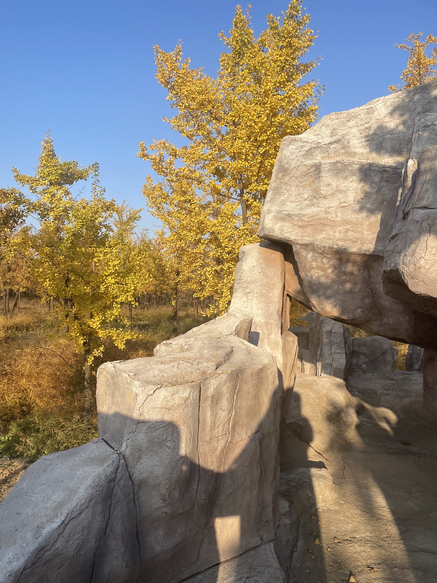 百草坡森林植物园旅行图片 3