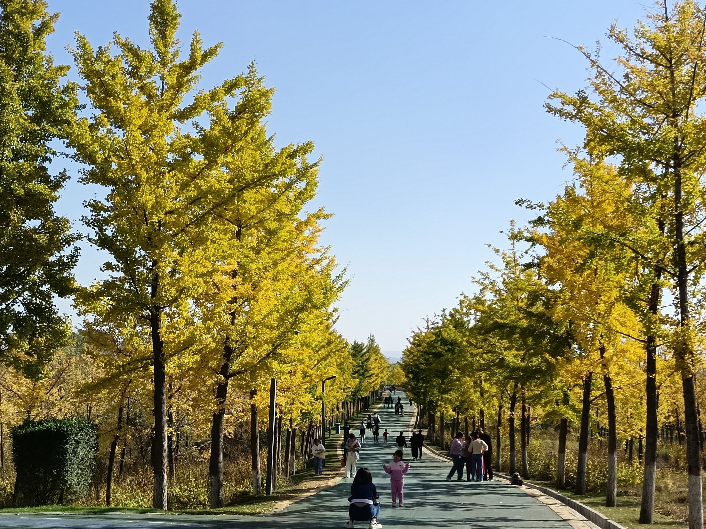 百草坡森林植物园旅行图片 3