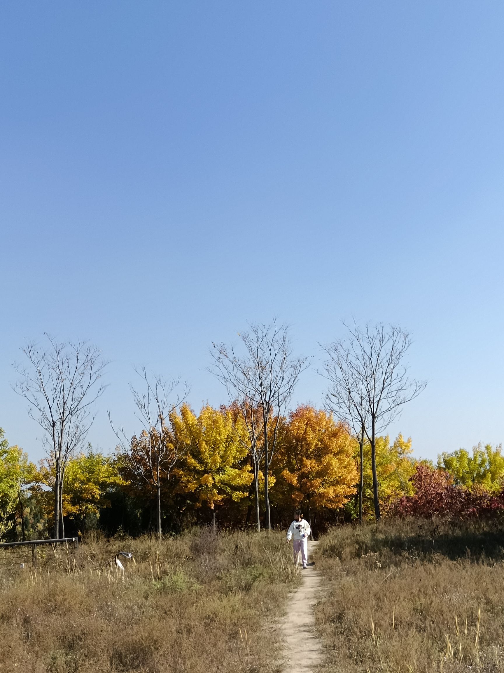 百草坡森林植物园旅行图片 1