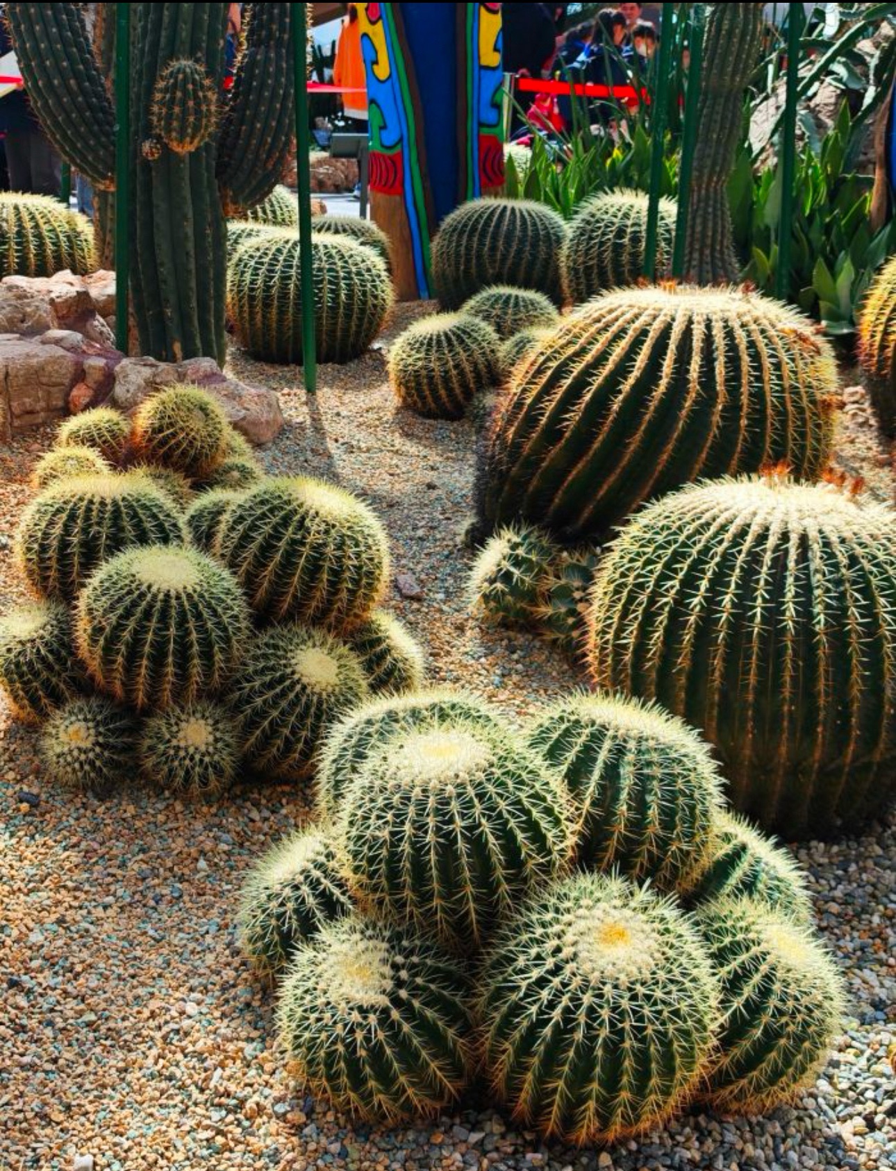 百草坡森林植物园旅行图片 2