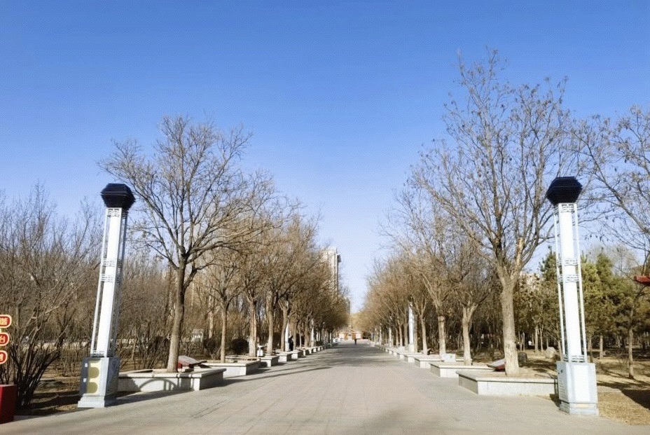 河套公园旅行图片 2