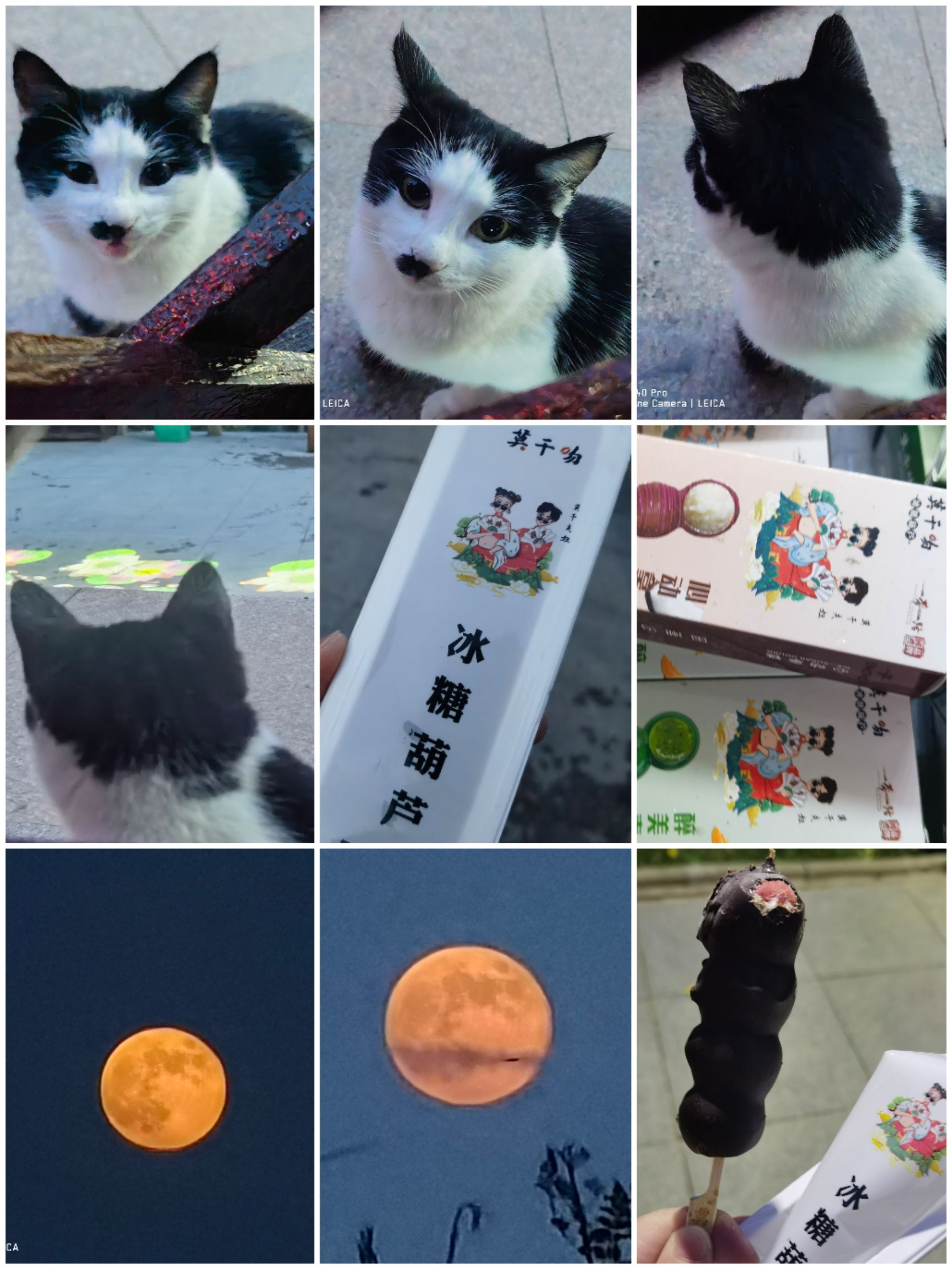 磁山温泉小镇旅行图片 3