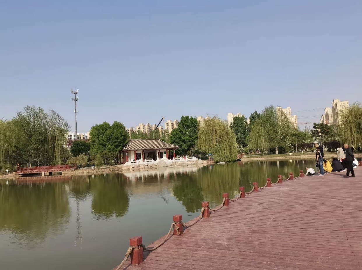枣强董子公园旅行图片 2