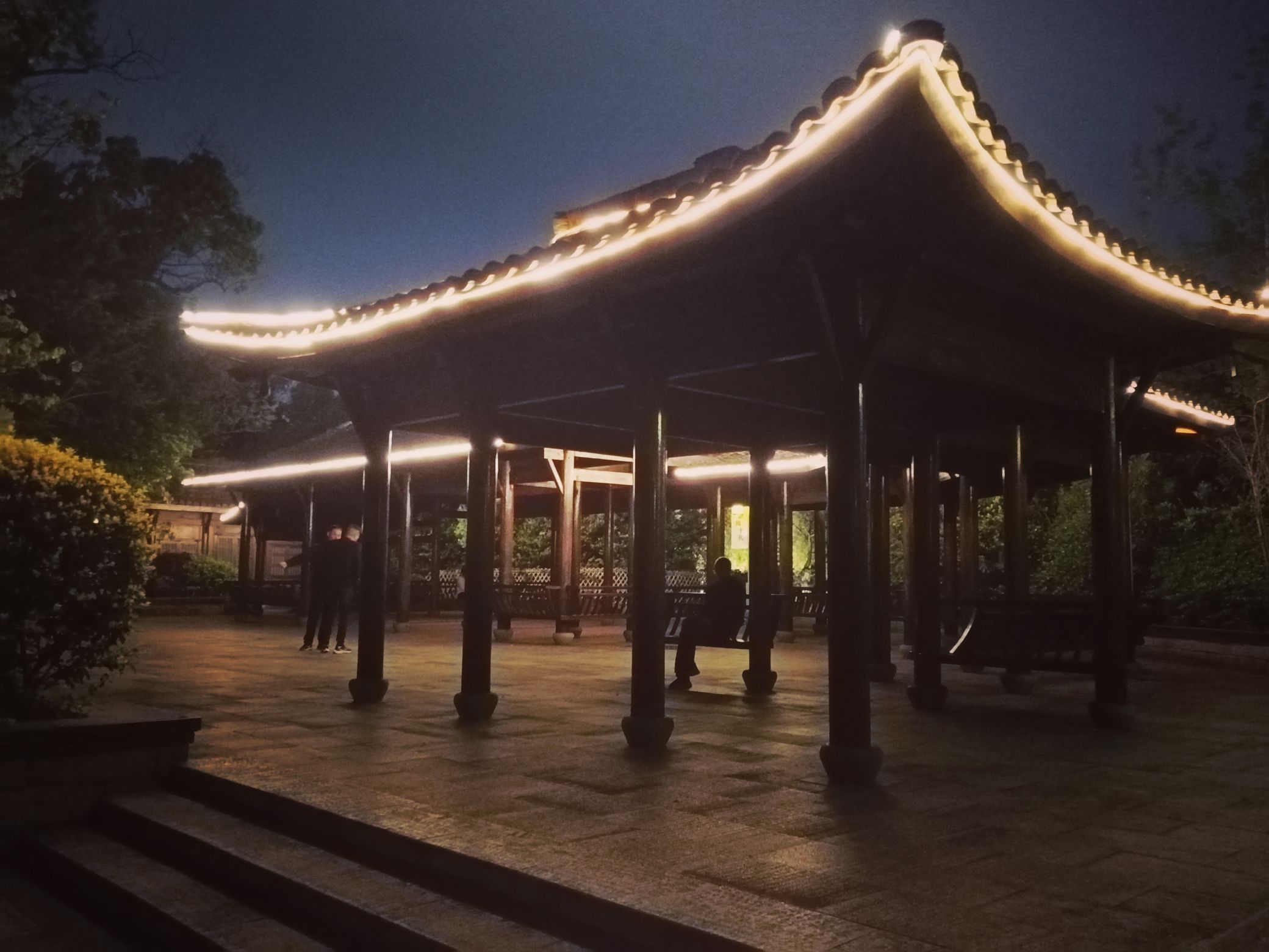塘河生态公园旅行图片 2
