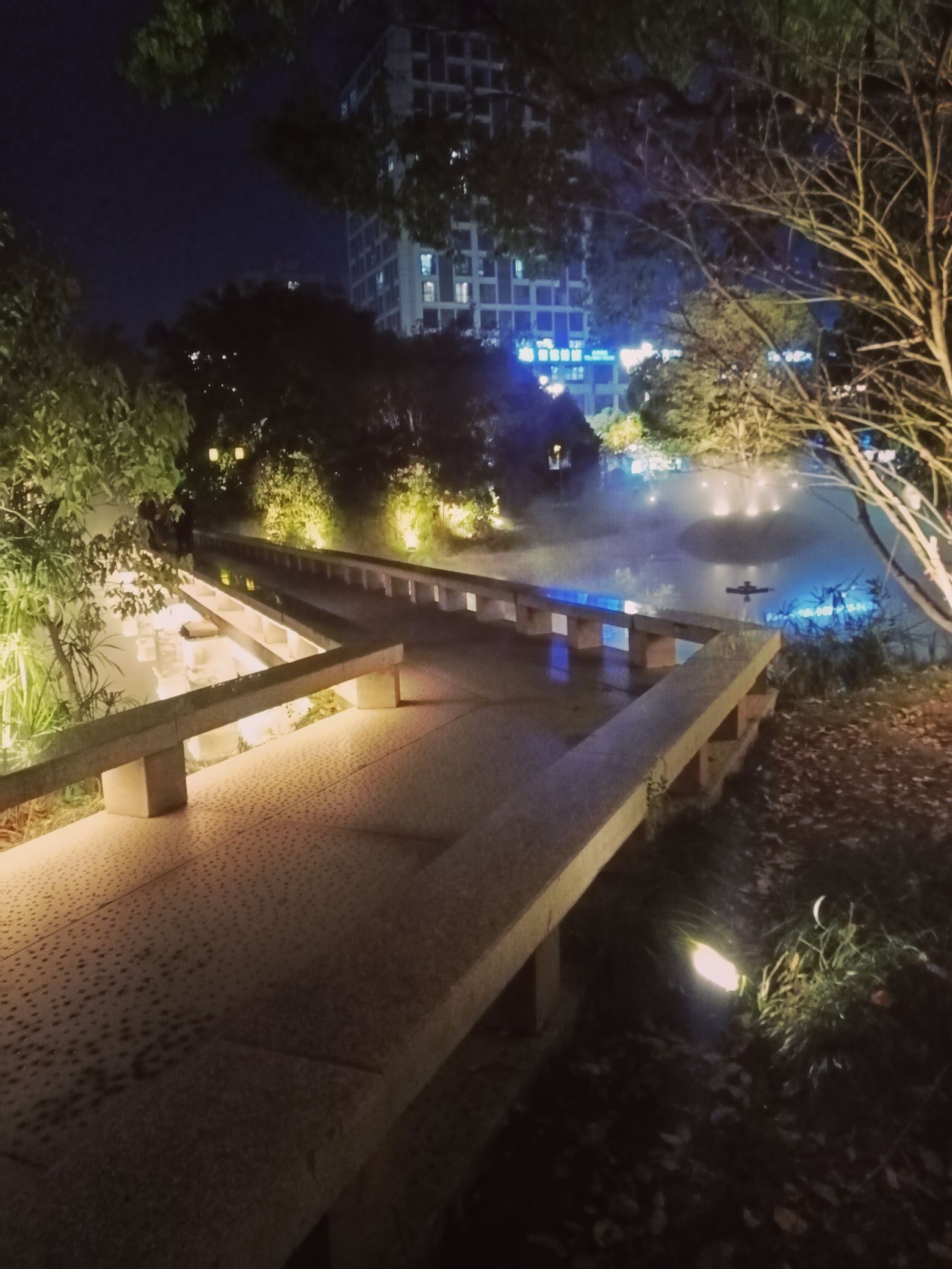 塘河生态公园旅行图片 3