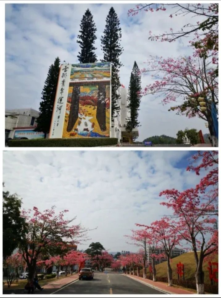 放生岛旅行图片 2