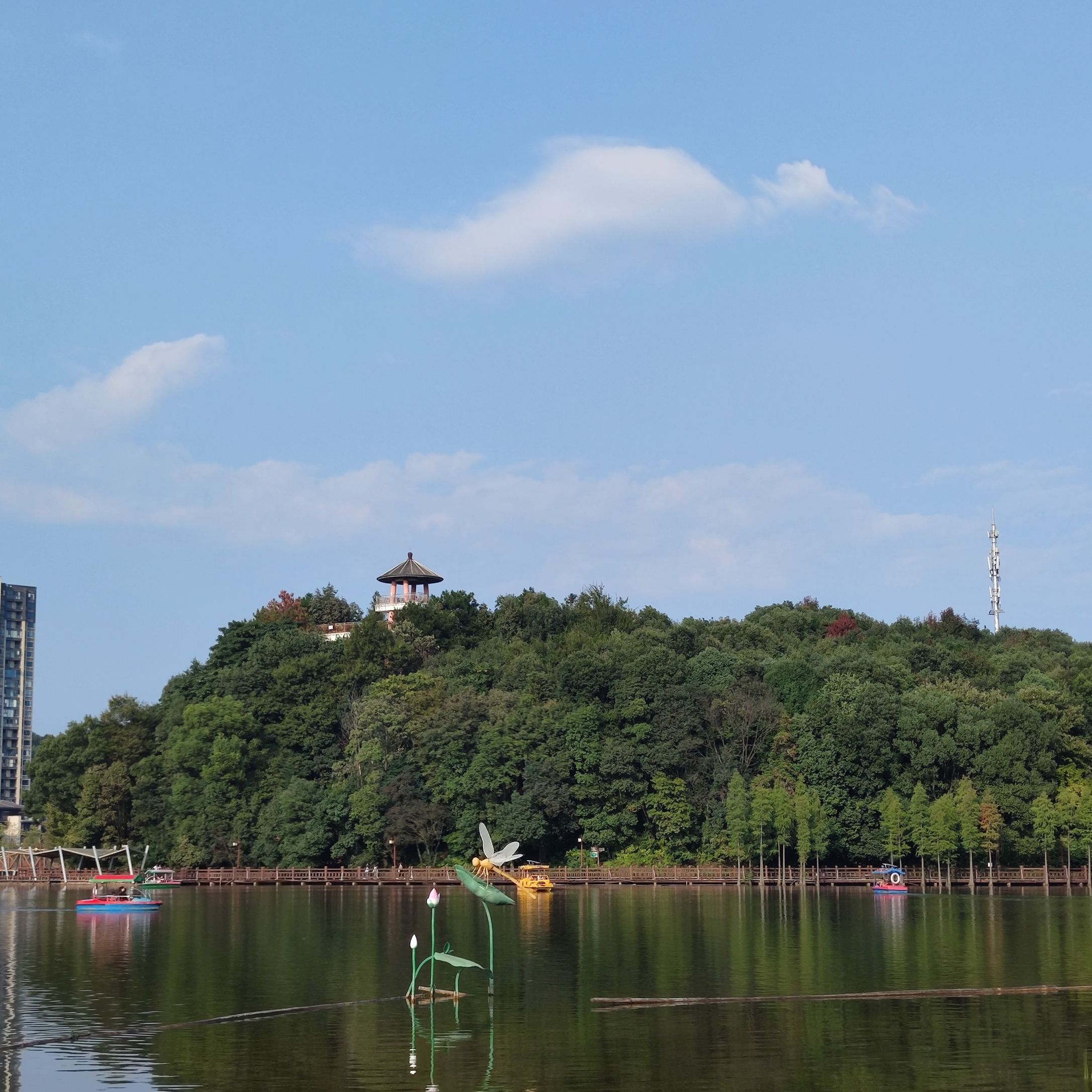 北湖公园旅行图片 3